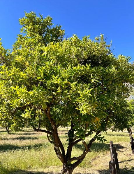 二是,吃饭不挑食的人,感情专一. 三是,吃饭不洗碗的人,懒惰傲慢