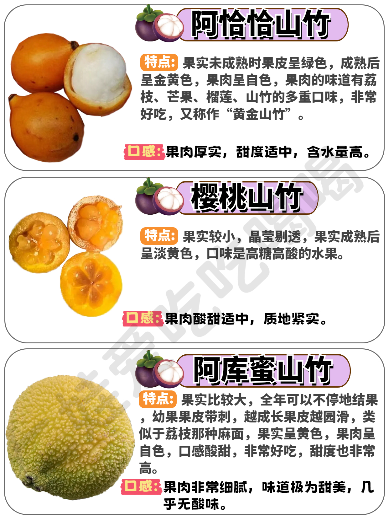 山竹,学名莽吉柿,比较普遍的热带水果,它因为营养极高有着"水果皇后"