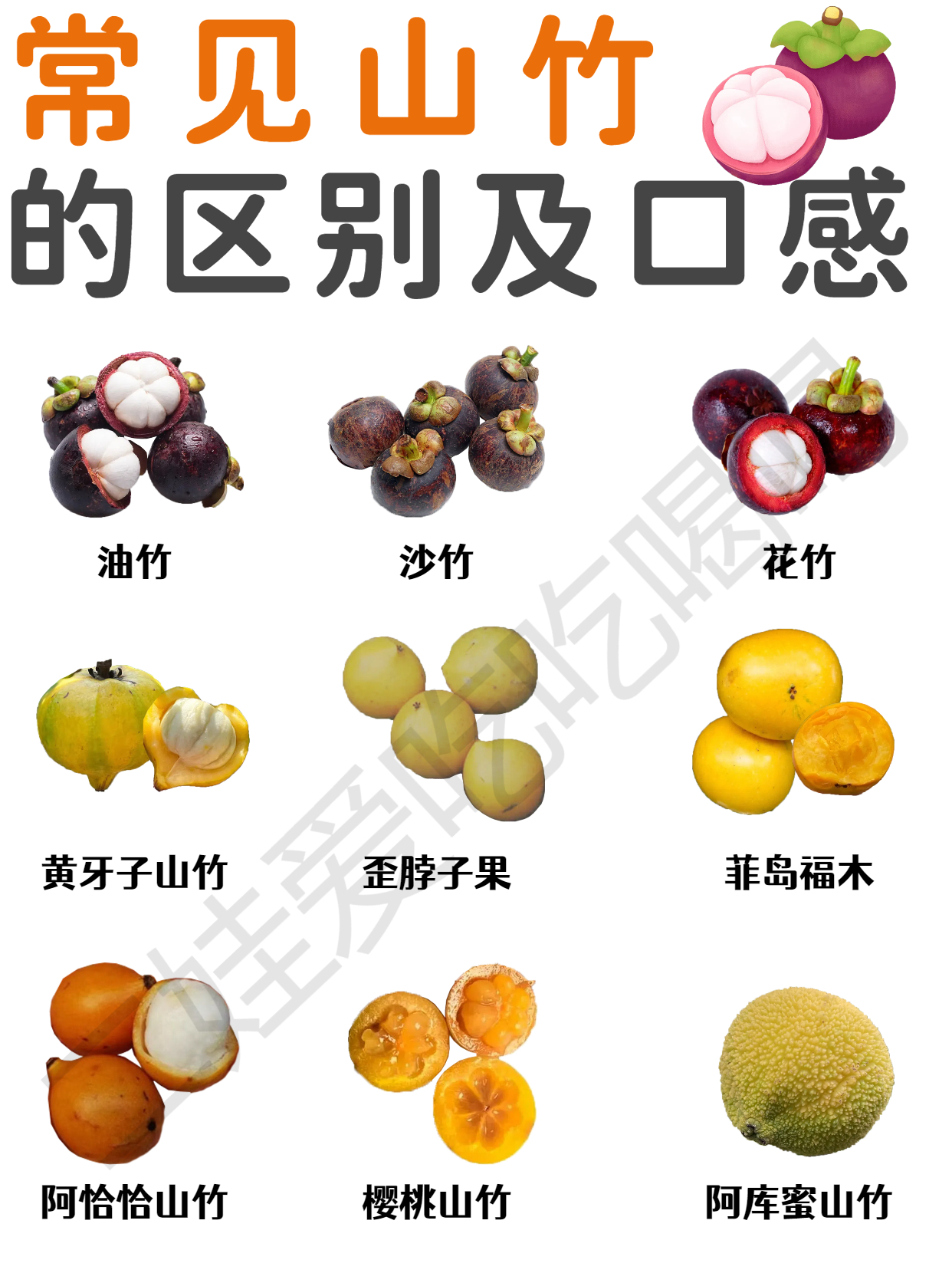 山竹,学名莽吉柿,比较普遍的热带水果,它因为营养极高有着"水果皇后"