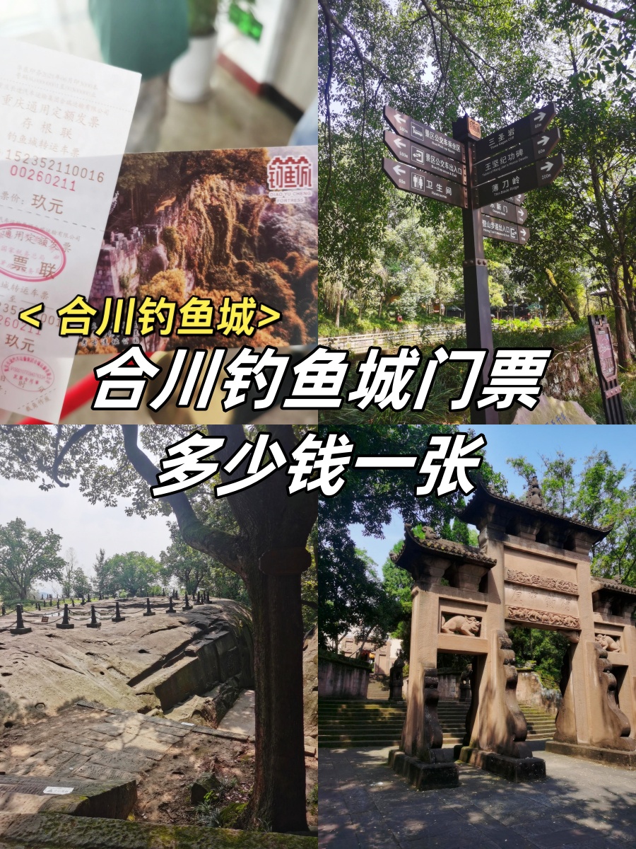 五一节钓鱼城门票图片