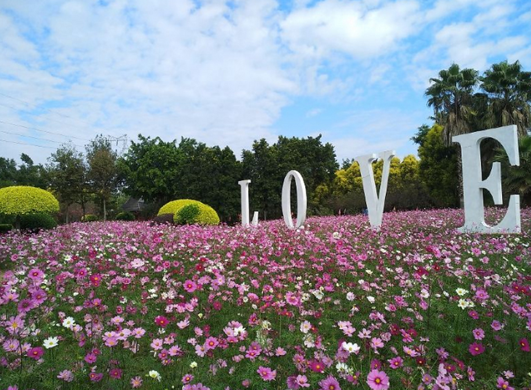 在广州花都区,有一个非常好玩的地方叫做香草世界.