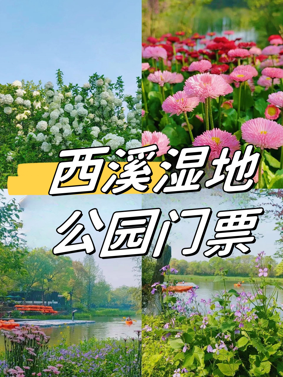 西昌湿地公园门票图片