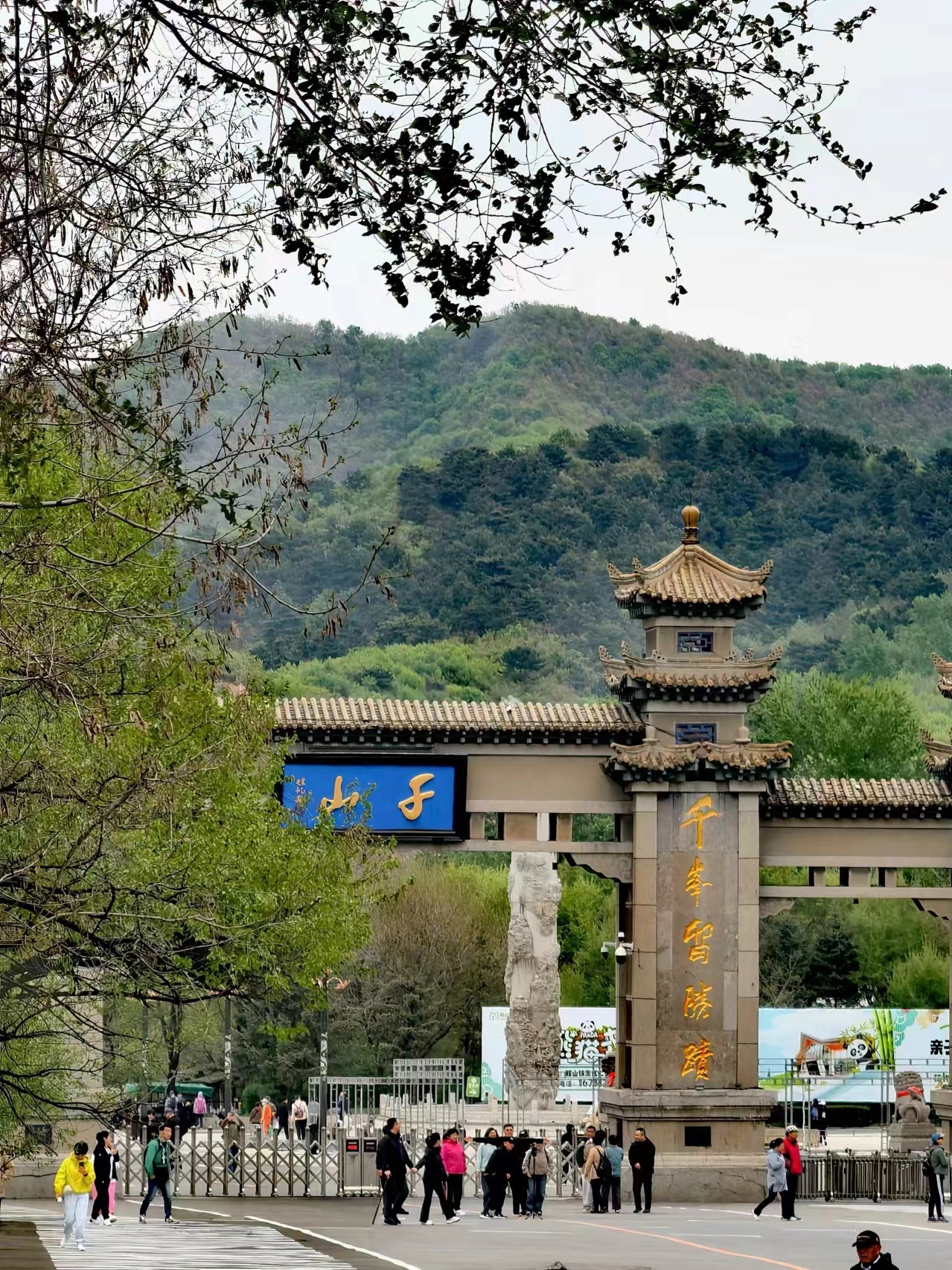 【最美辽宁】辽宁省鞍山市:大美千山 春色撩人 作者:康成明 #辽宁好