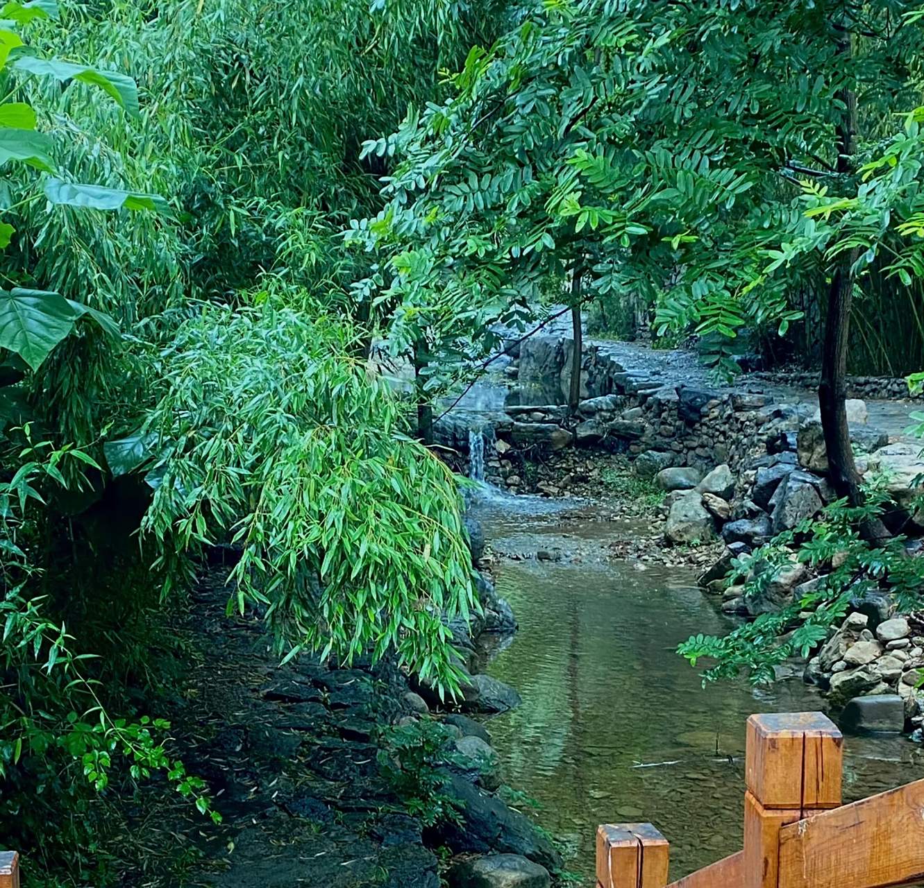 黄花溪景区门票价格  早就听说黄花溪是个 4a 景区,风景特别美,果然名