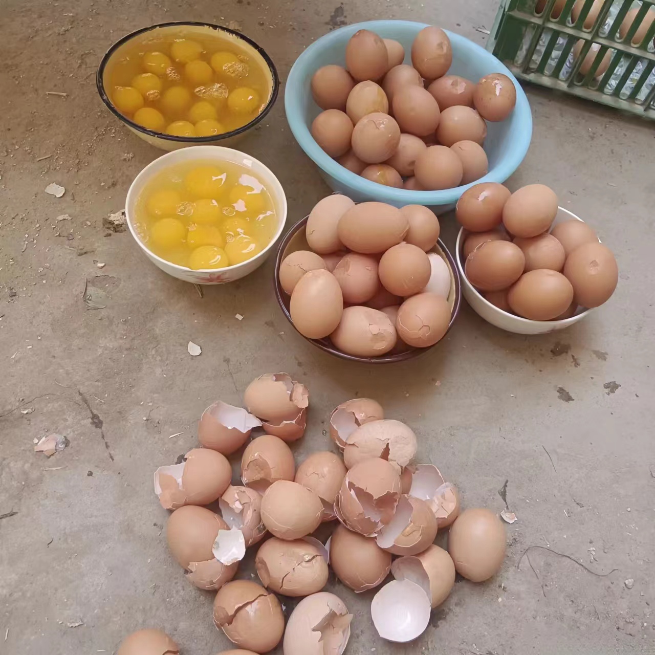 一筐鸡蛋标准答案，一筐鸡蛋算法全部答案