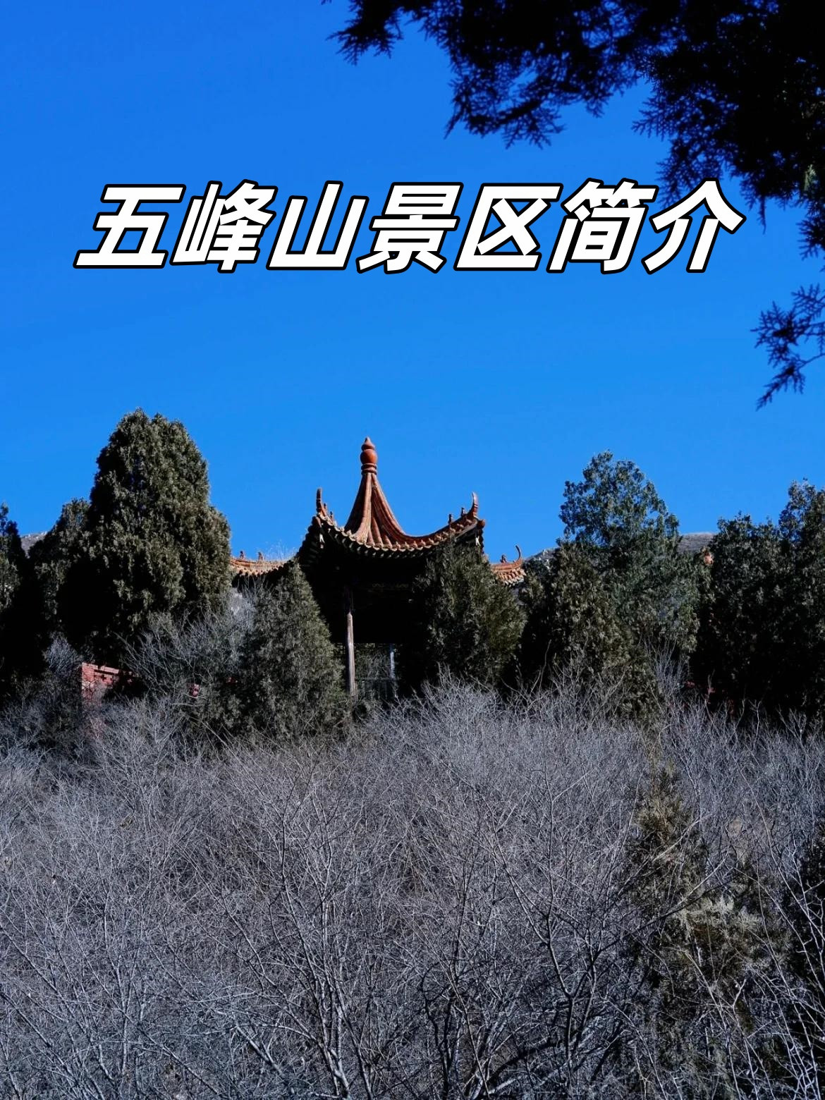 五峰山景区简介  给大家分享一个非常美丽的景点——五峰山景区.