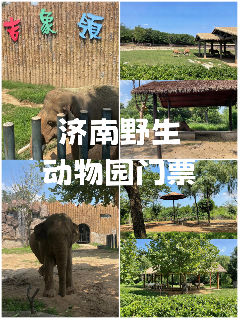 济南野生动物园    地点:济南市章丘区埠村济南野生动物园  p 停车