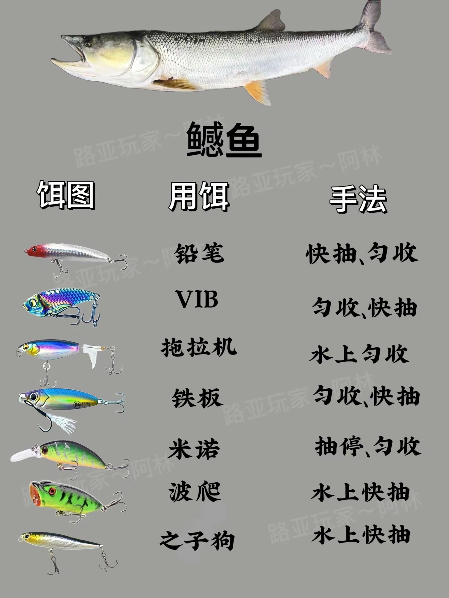 路亚鱼种用饵及操作手法,感谢点赞关注,谢谢!