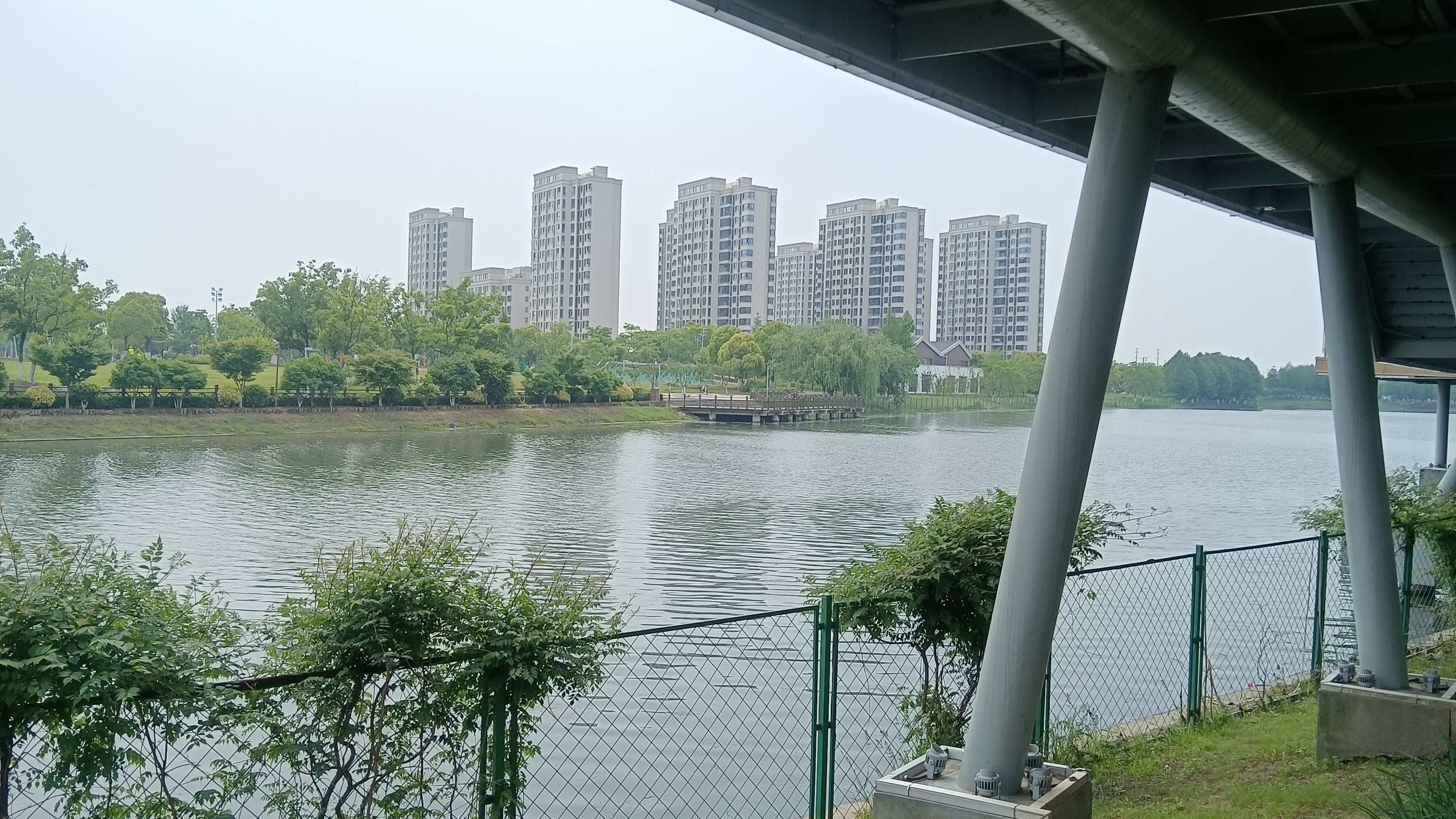 金水湖景区图片