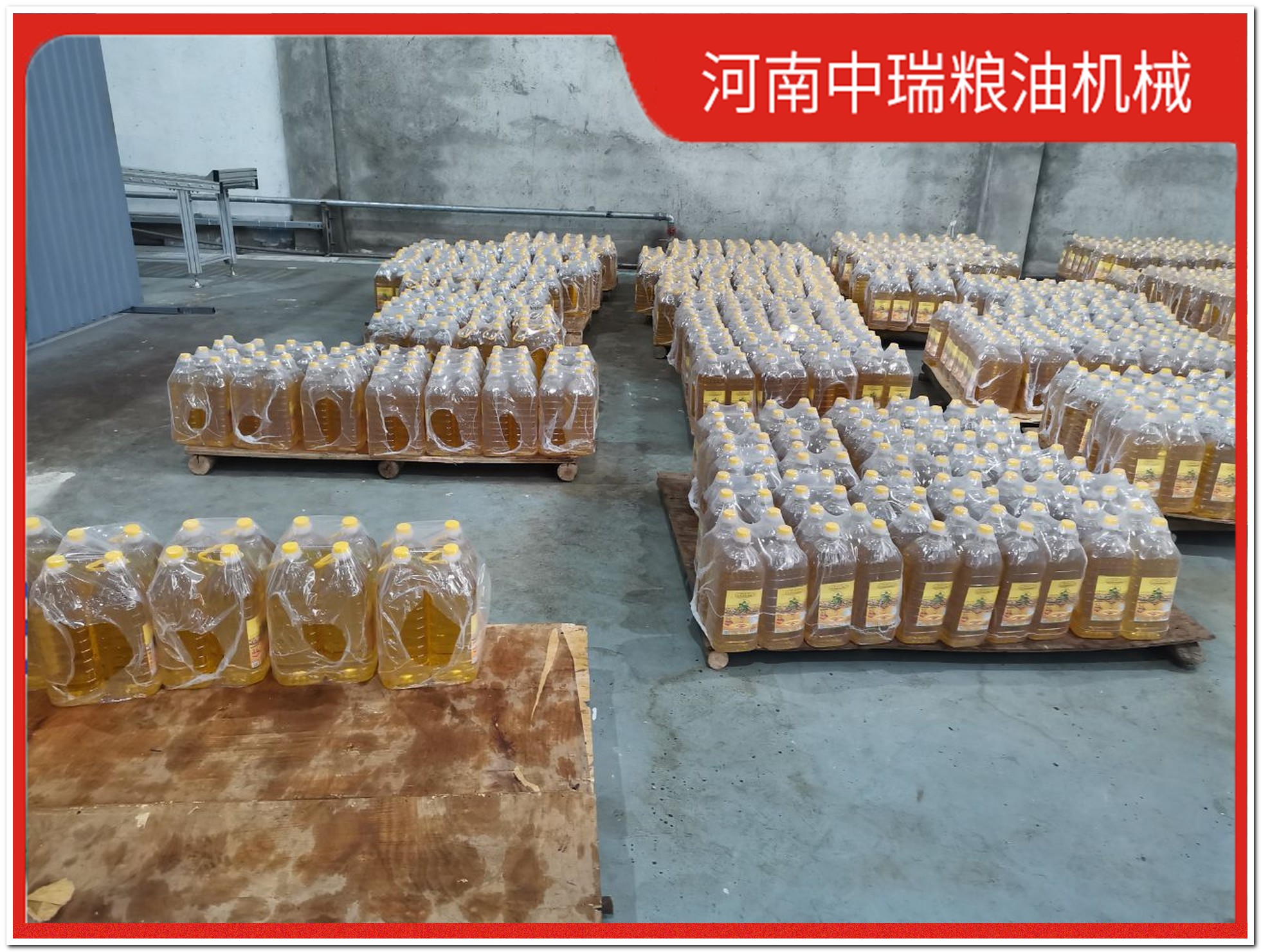 全自动新型全套花生榨油机器全套设备哪个牌子好