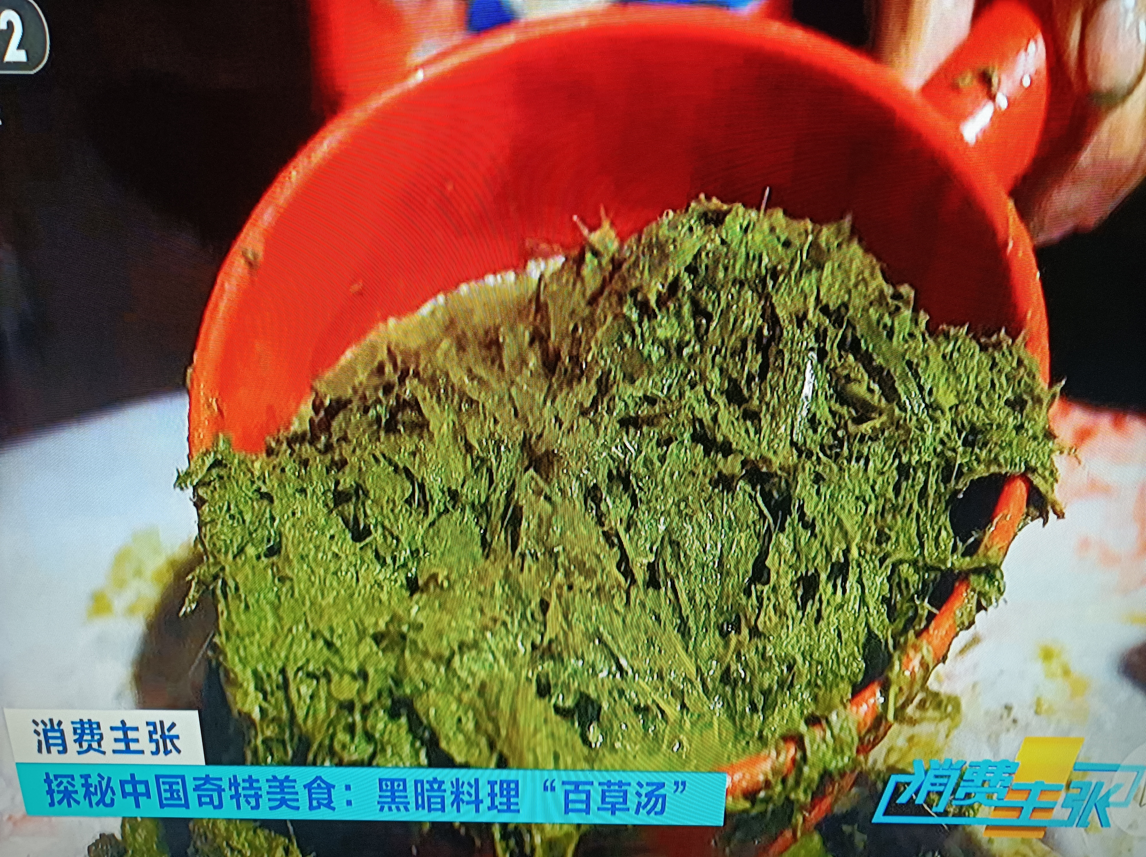 就是牛胃里半消化的草料混合着胃液的混合物