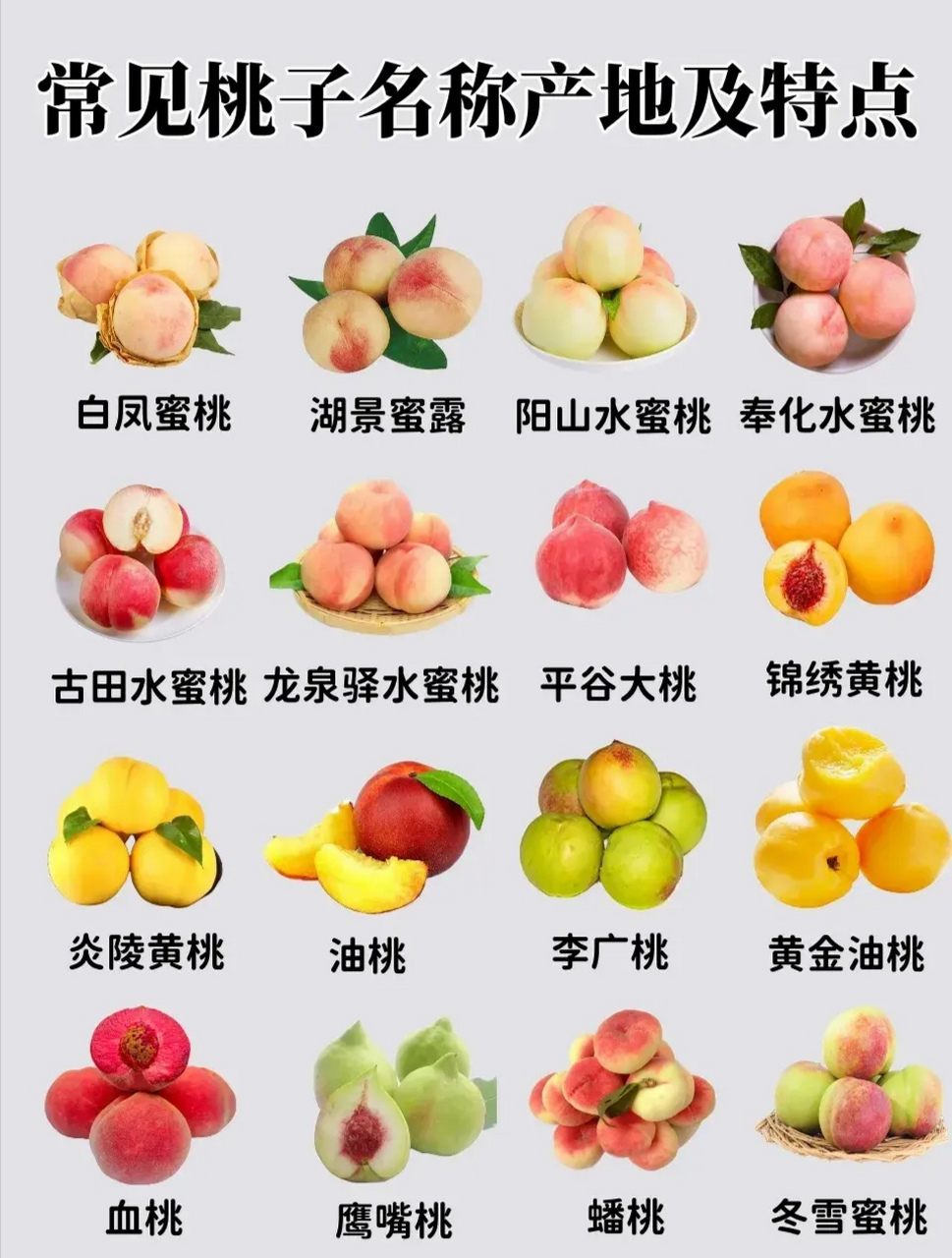 白凤蜜桃 湖景蜜露 阳山水蜜桃奉化水蜜桃 古田水蜜桃龙泉驿水蜜桃