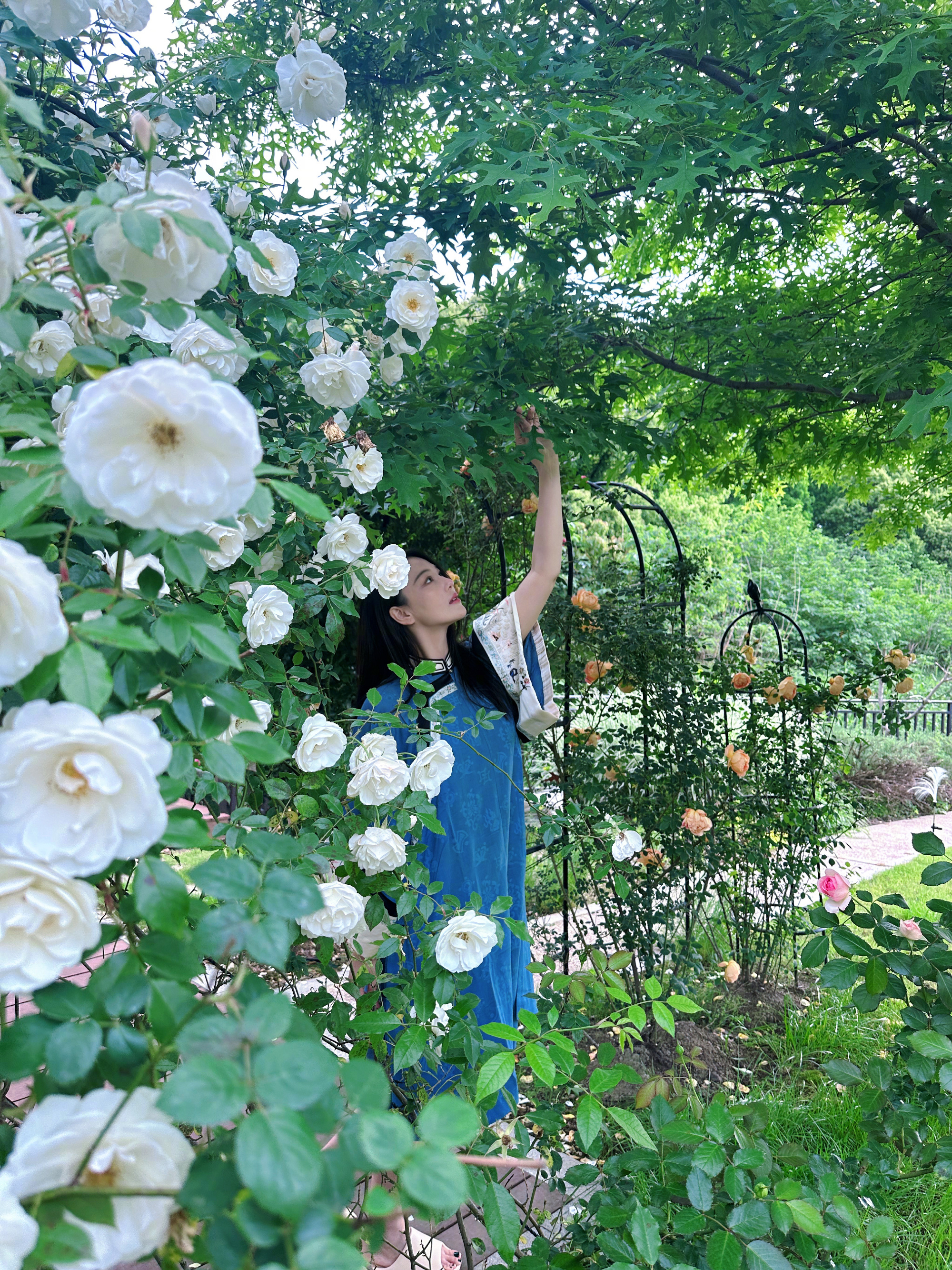 张馨予晒自家豪宅花园,实力.@吃瓜少女张小萌的动态