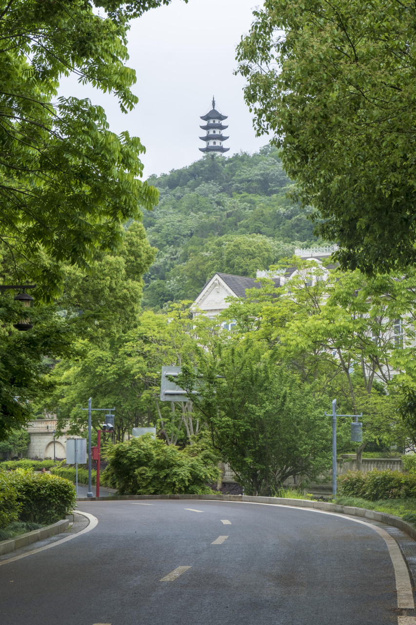 我特别喜欢沿着浦阳江边上的木栈道漫步,耳闻脚踏木栈道发出的声响