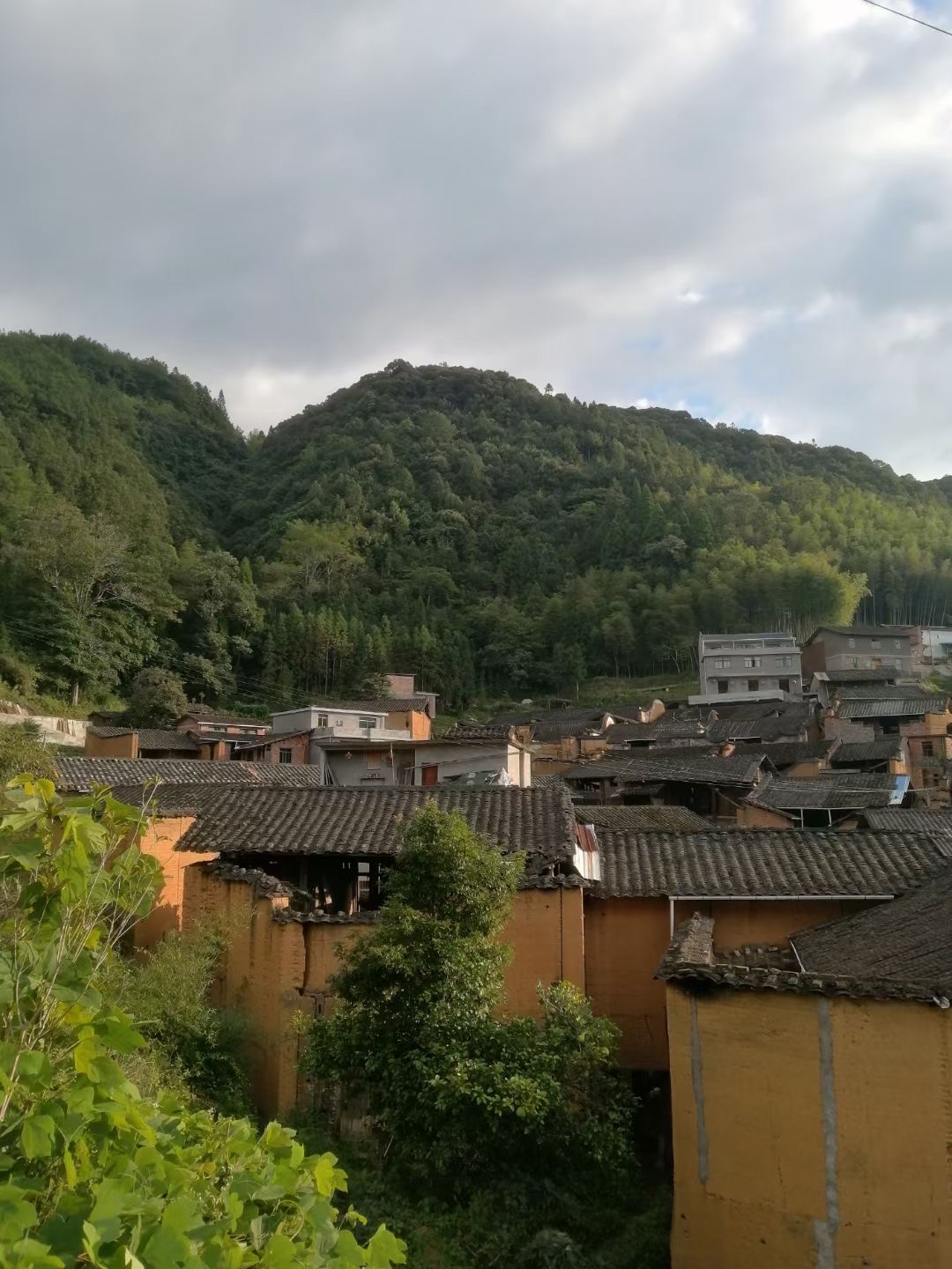 青烟绕碧撼山城, 水天一色入林深
