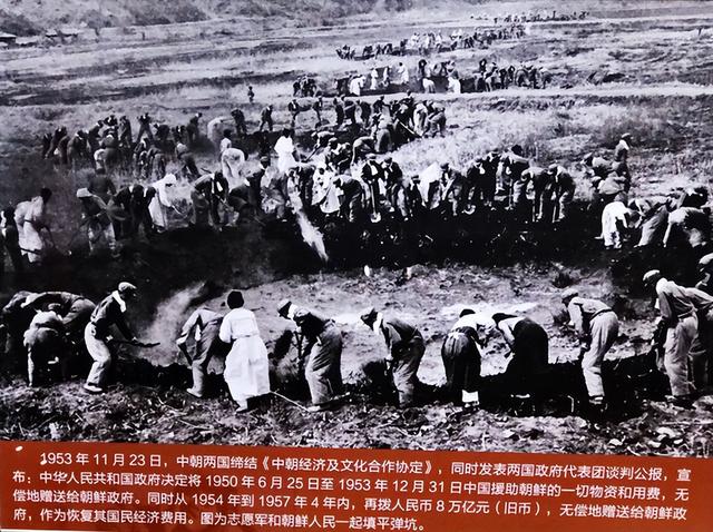 抗美援朝1953年结束,为何最后一批志愿军,直到1994年才回国?