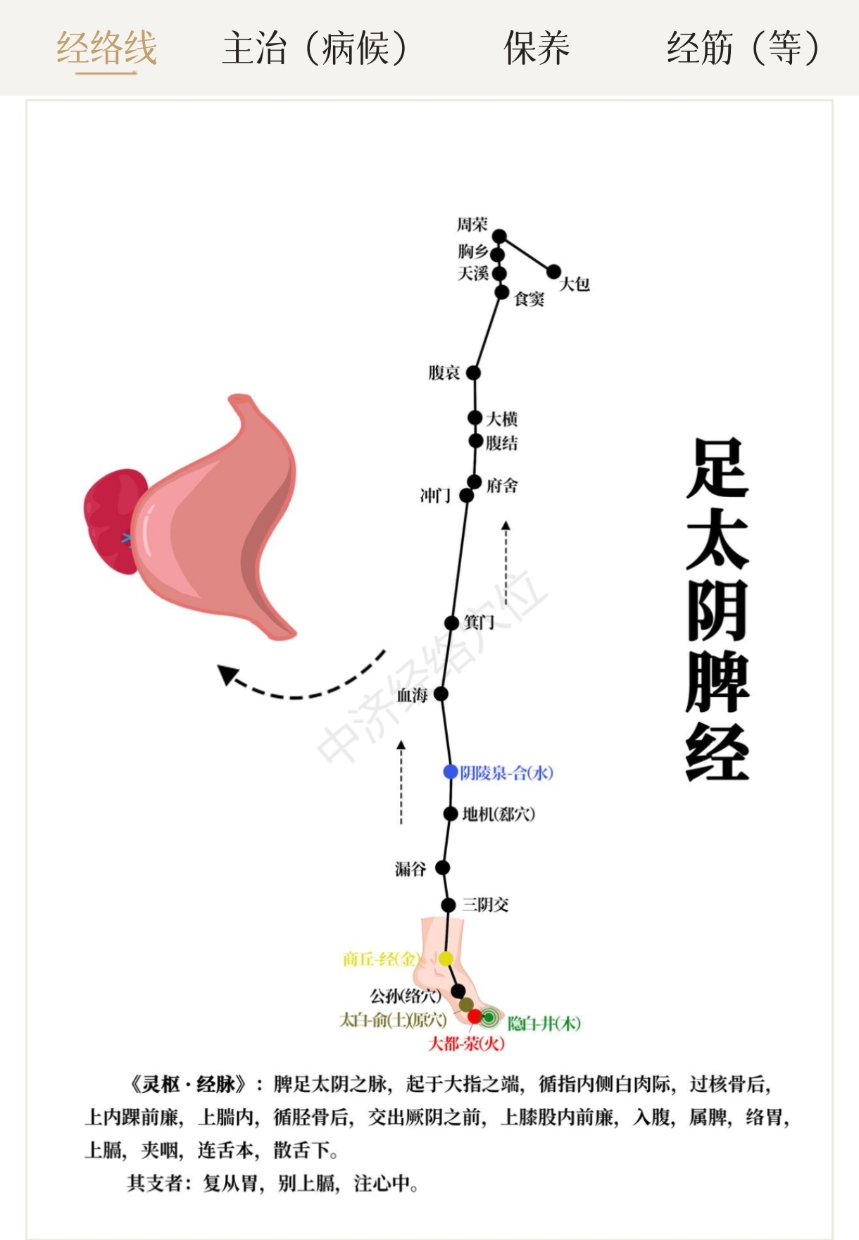 太阴的准确位置图片