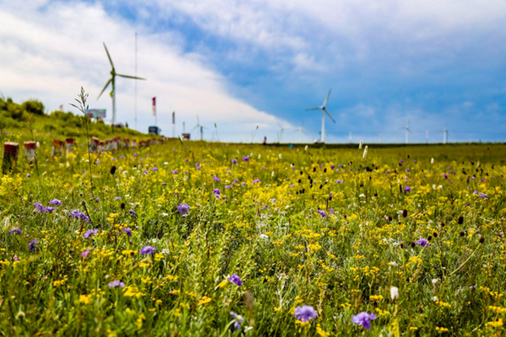 锡林浩特有哪些必玩的旅游景点 1,锡林郭勒大草原  锡林郭勒大草原
