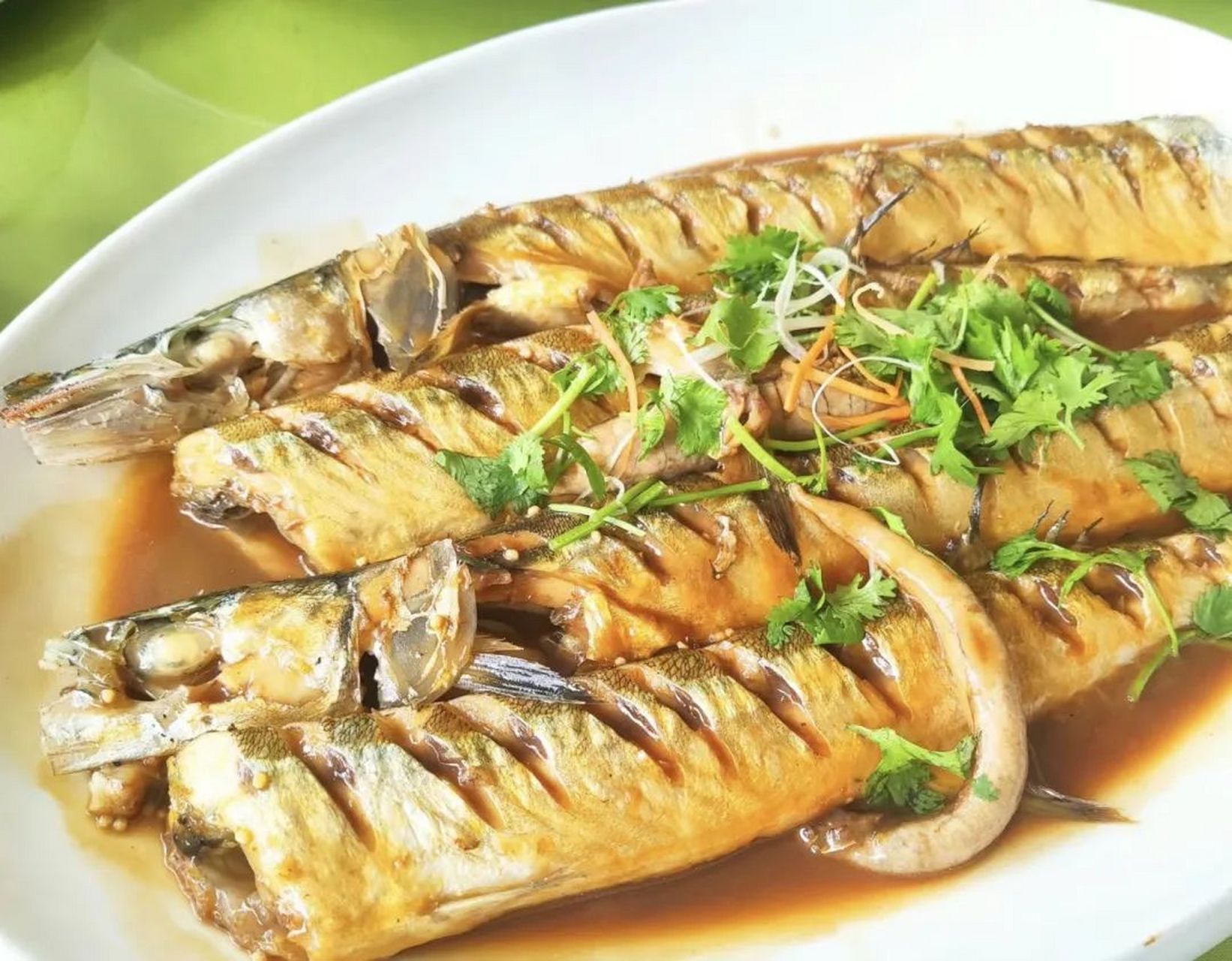 初夏第一鲜-针良鱼,鲜嫩美味到让人陶醉.