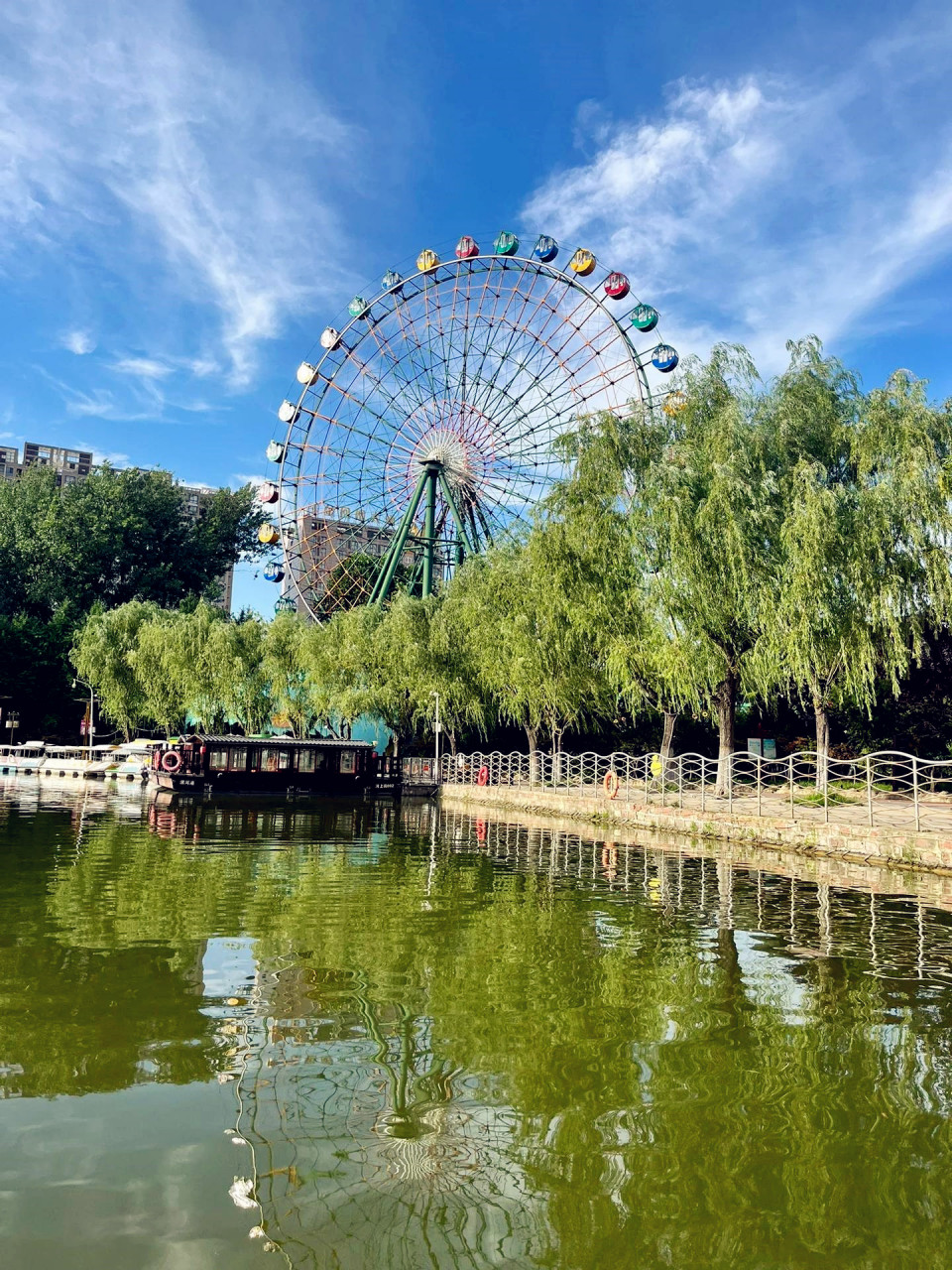 漯河神州鸟园门票,震撼你的心灵!