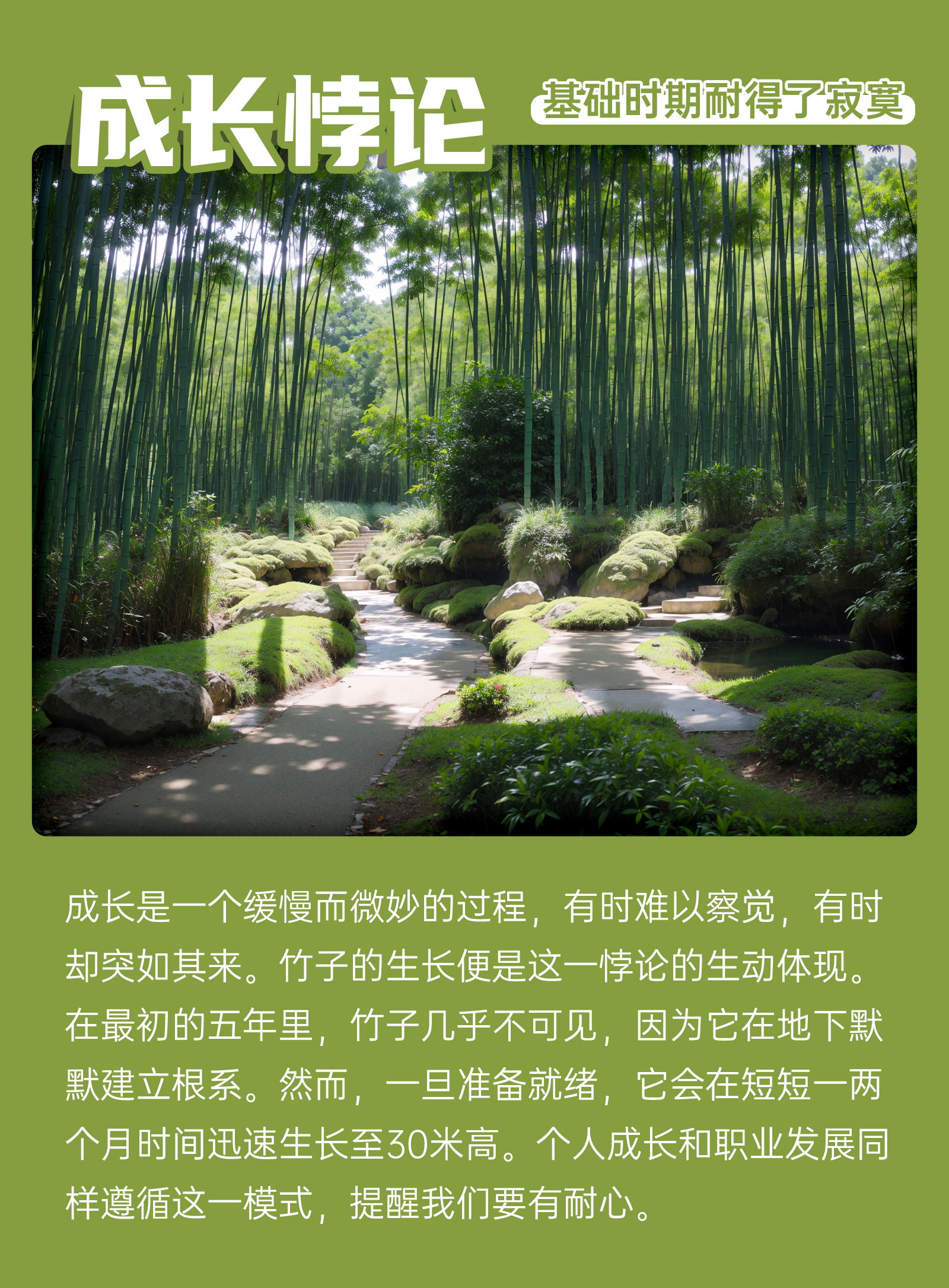 竹子的生长便是这一悖论的生动体现.