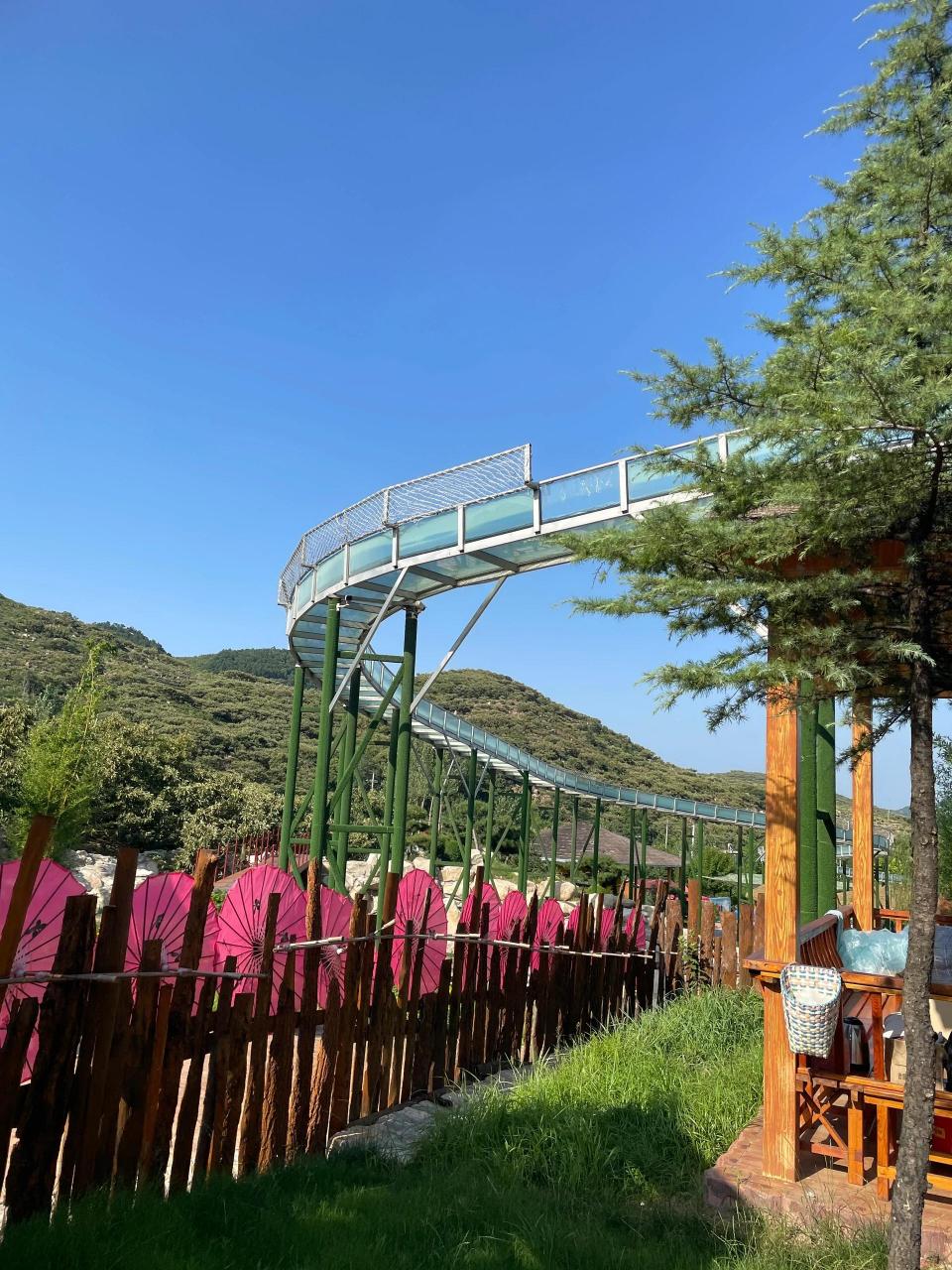 椿树沟门票:价格大揭秘,快来看看!