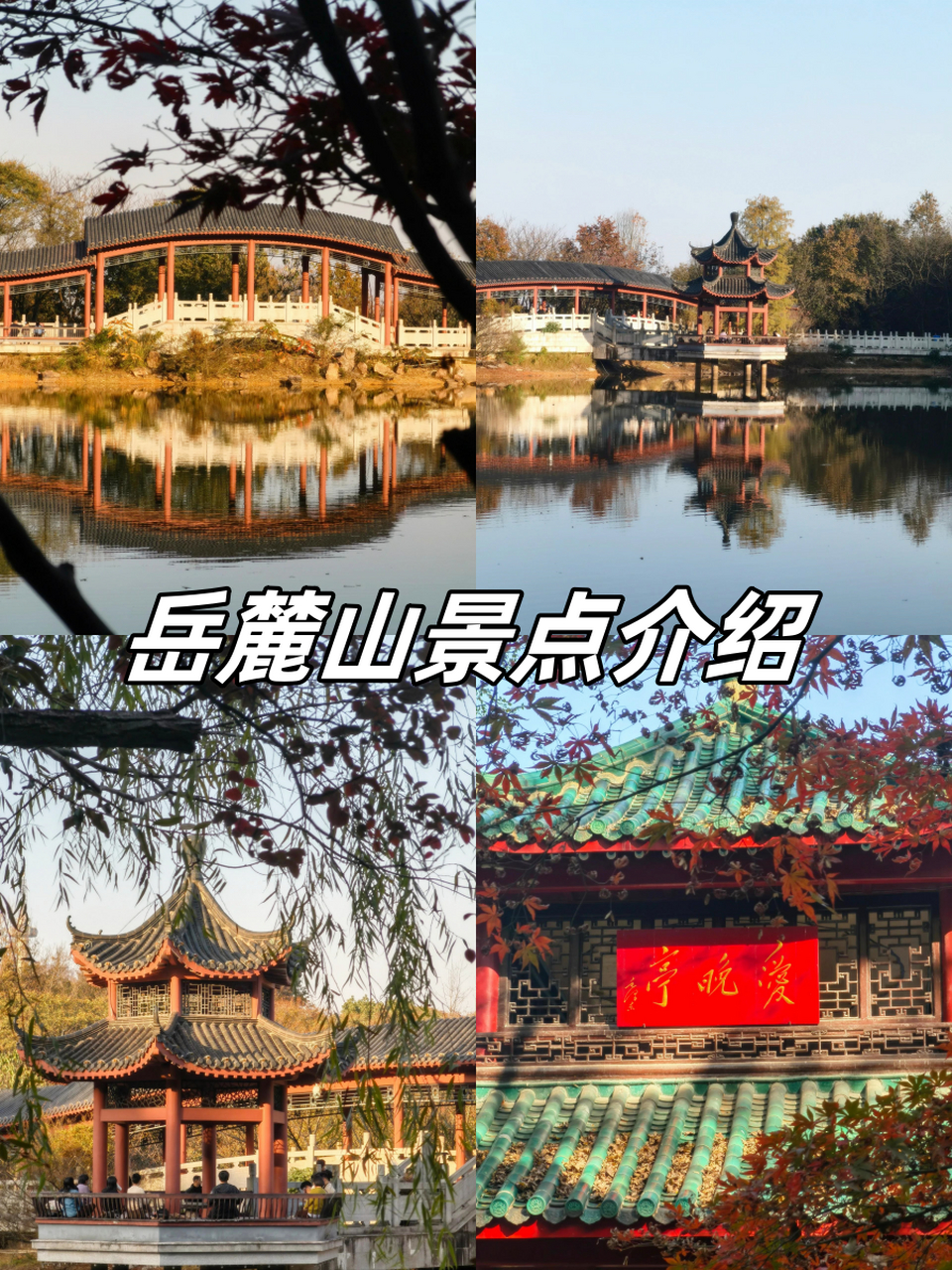 岳麓山景点 景区图片