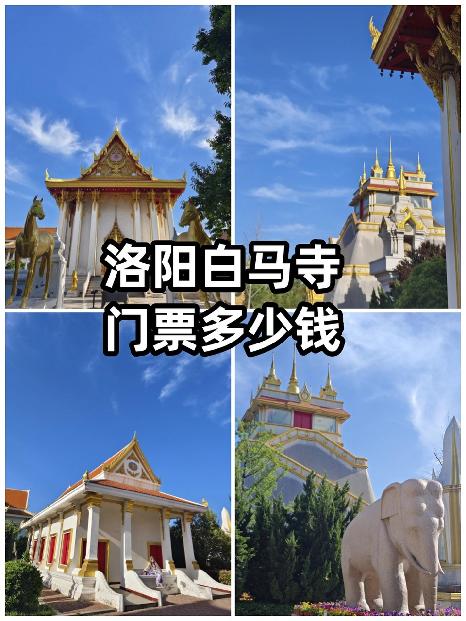 洛阳白马寺景点门票图片