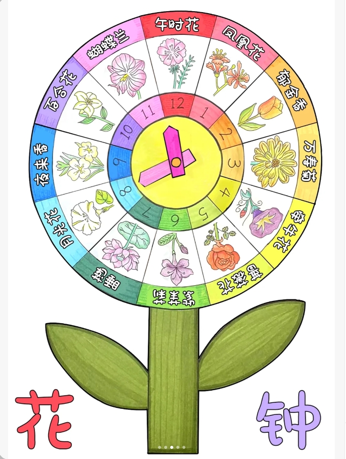 花钟的十二种花的简笔画