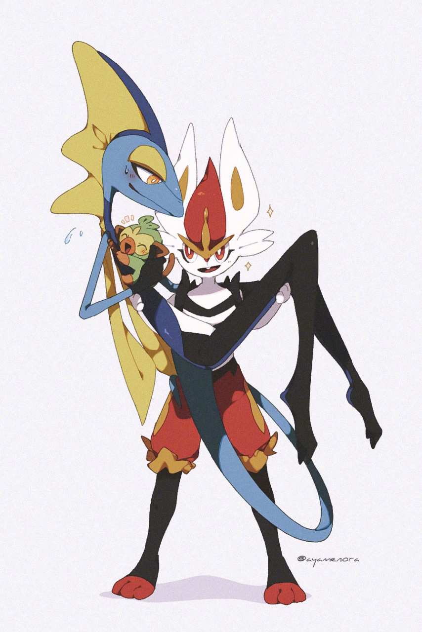 精灵宝可梦# 2019年宝可梦第八世代 新晋御三家 ( x:ayamenora 67