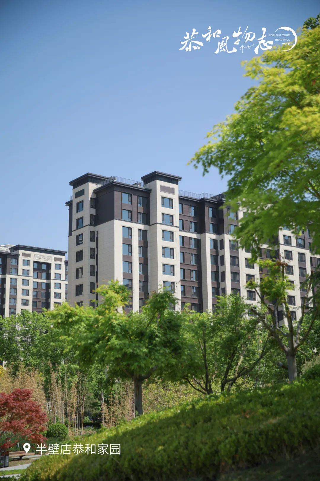 阅历,沉淀岁月的从容 季节,流转生活的风景 与假日的