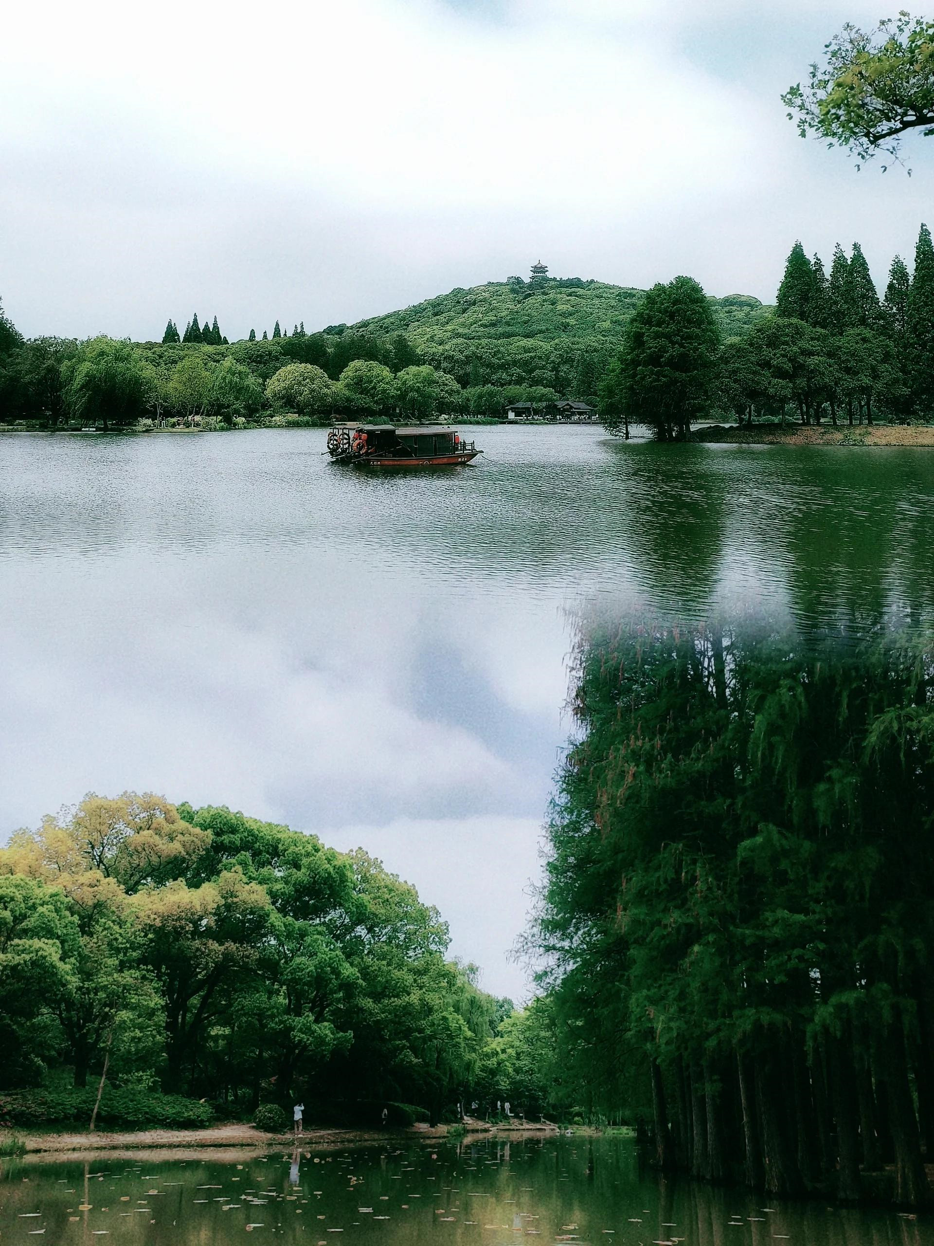 建议收藏  说到鼋头渚,很多人第一时间想到的就是漫山的樱花,但其实在