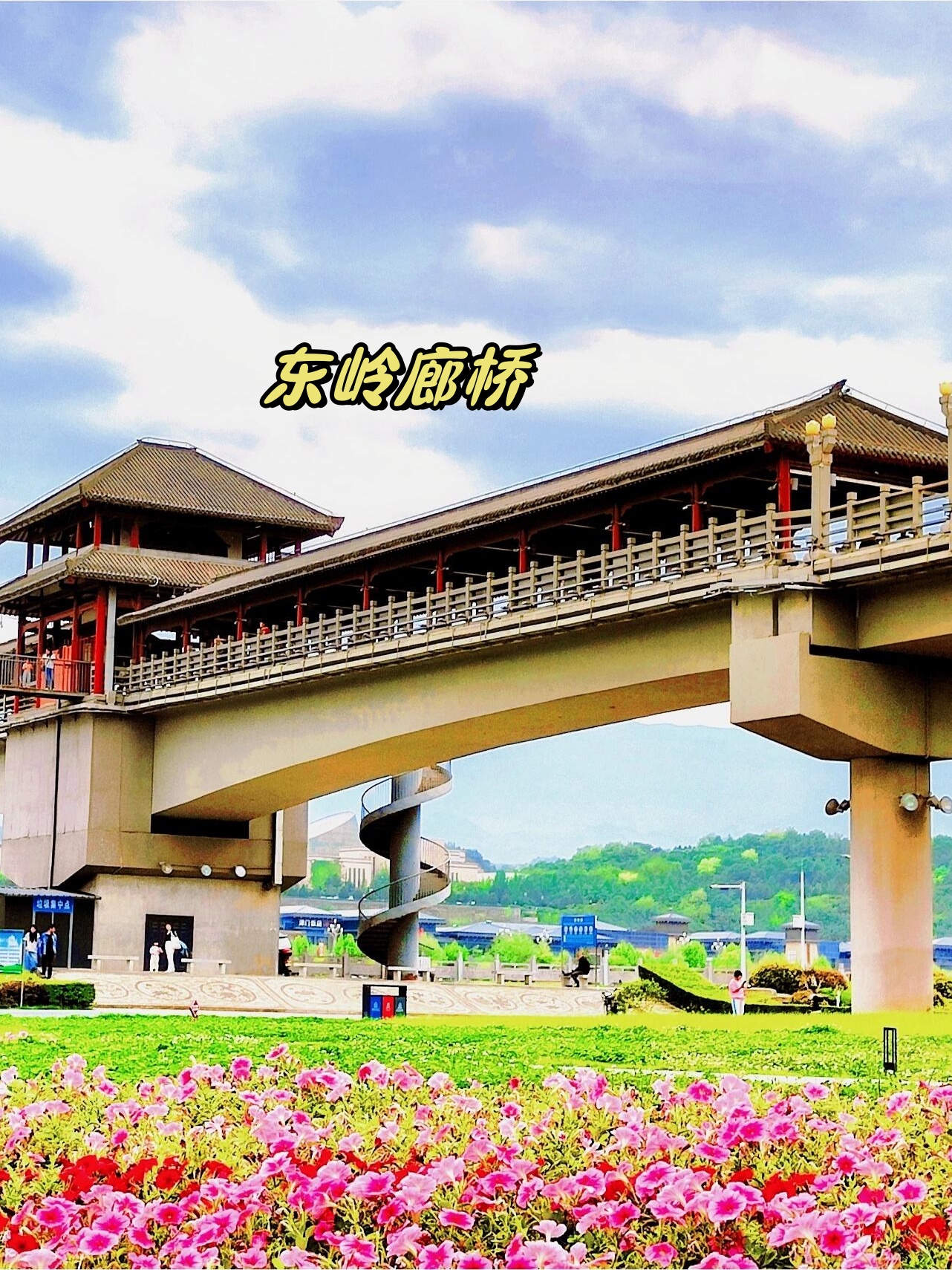 油泼辣子配小饼,香而不腻,记得十一点宝鸡东岭廊桥