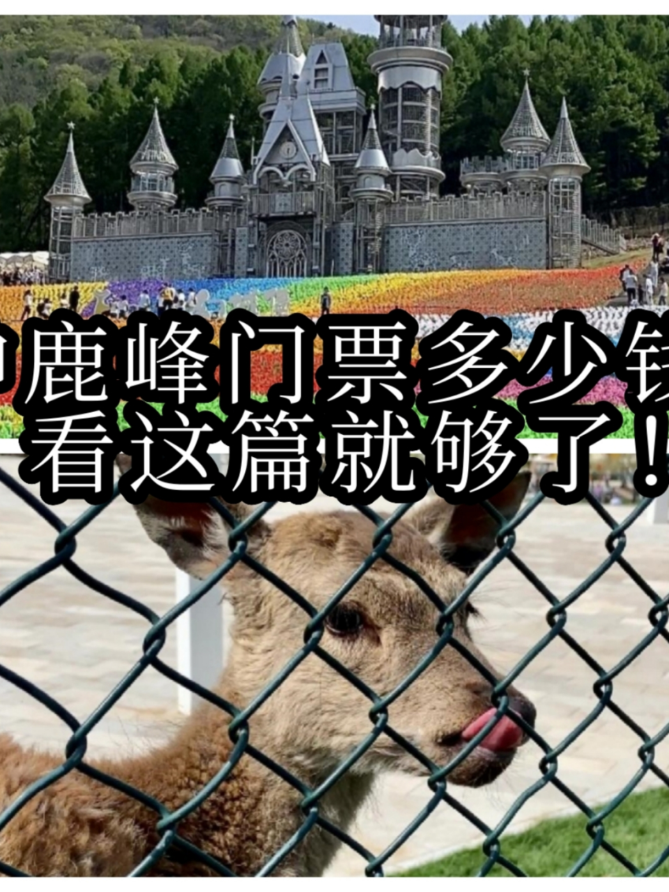 不过要注意的是这只是门票的价格,门票内包含有些项目是免费的,但也