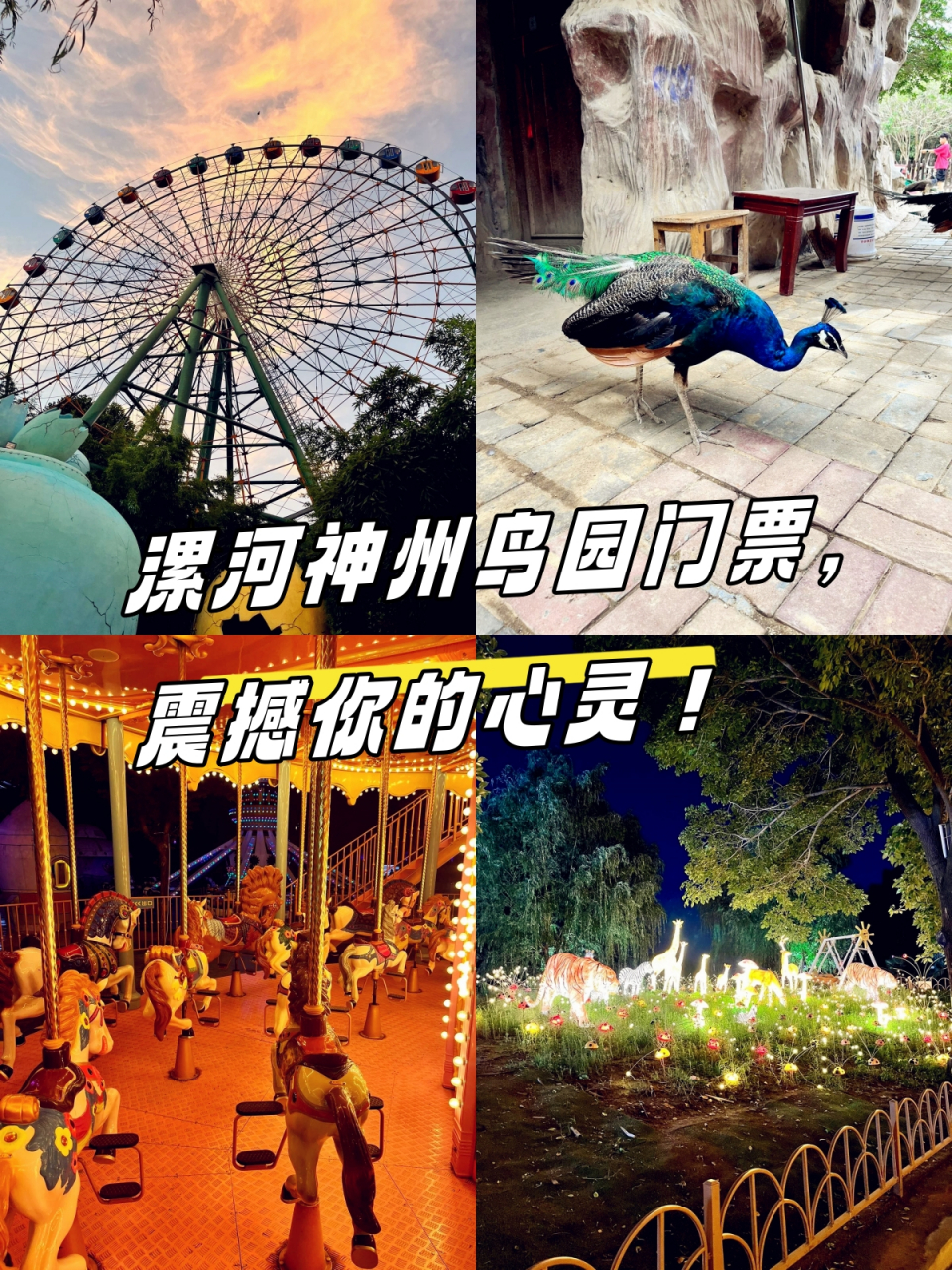 漯河神州鸟园门票,震撼你的心灵!