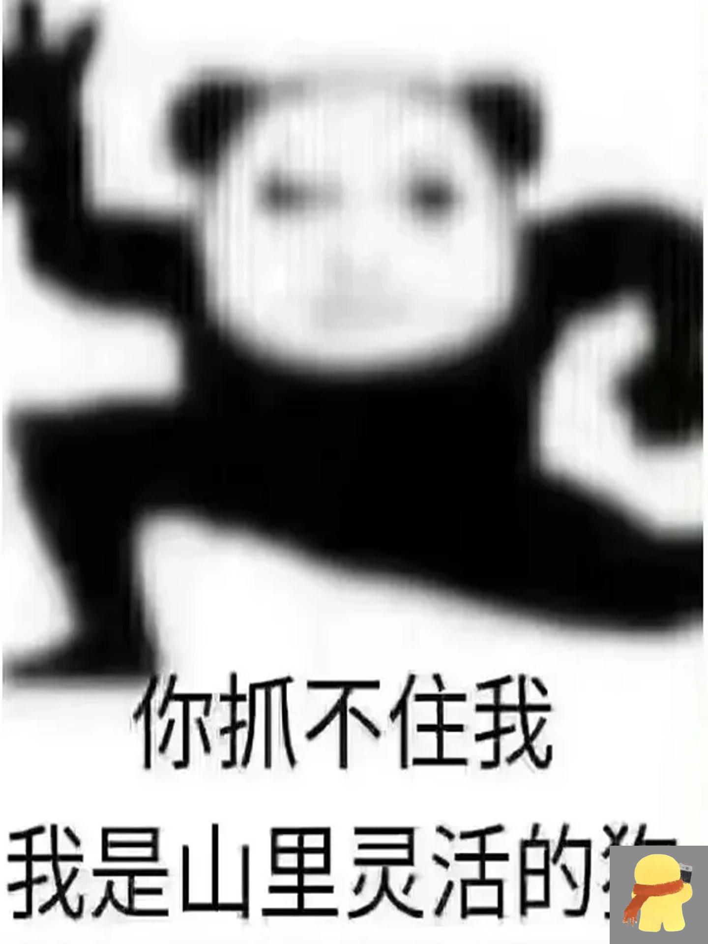 一些神经病专用表情包……有毒啊哈哈哈哈哈 分享一些表情包…… 好
