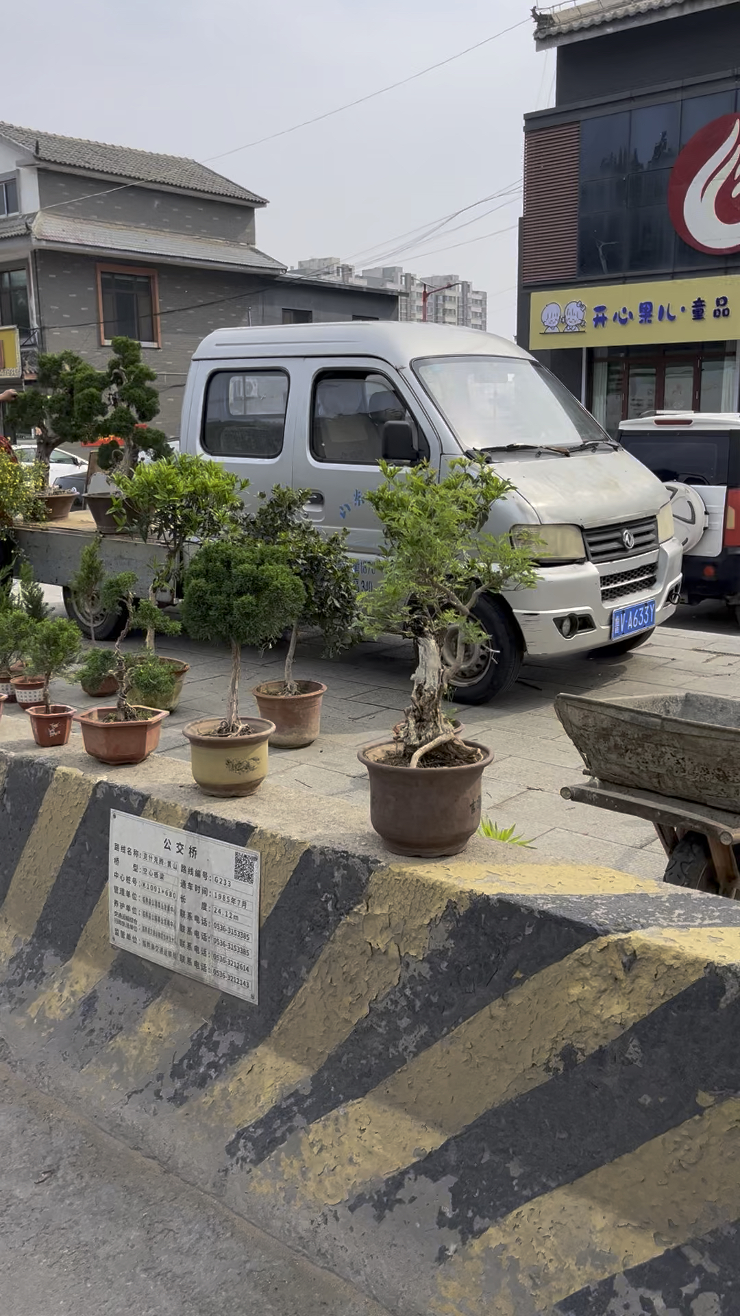 山东临沂大集盆景市场图片