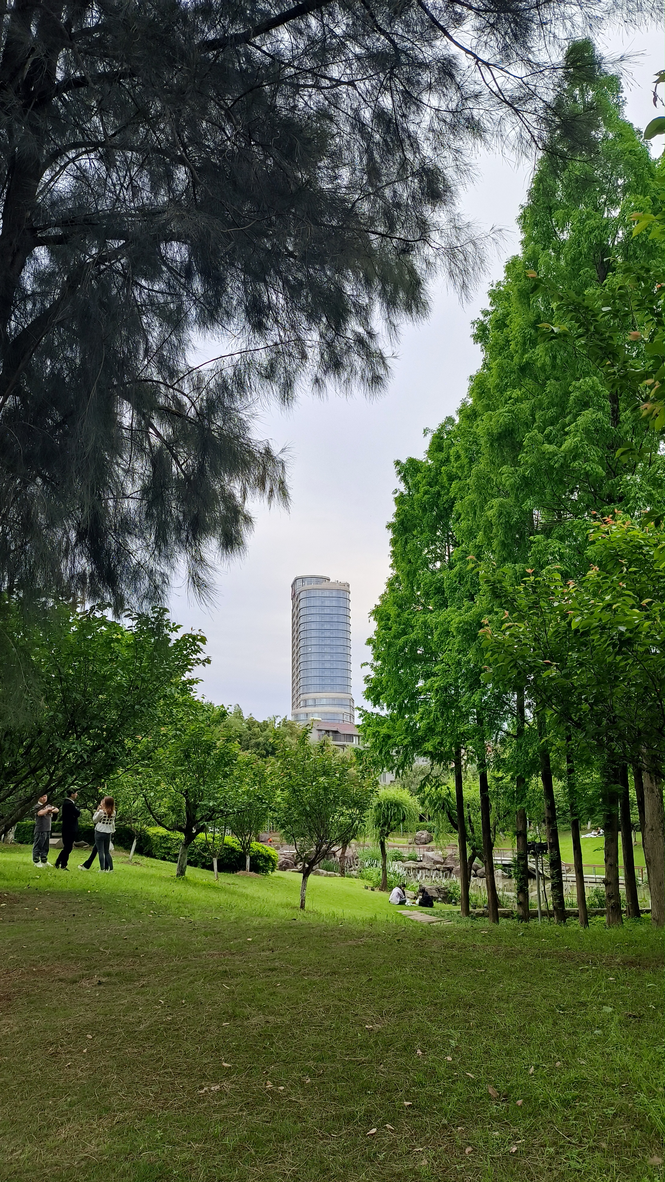永宁公园是黄岩的一道风景线. 芳草萋萋,新花绽放.