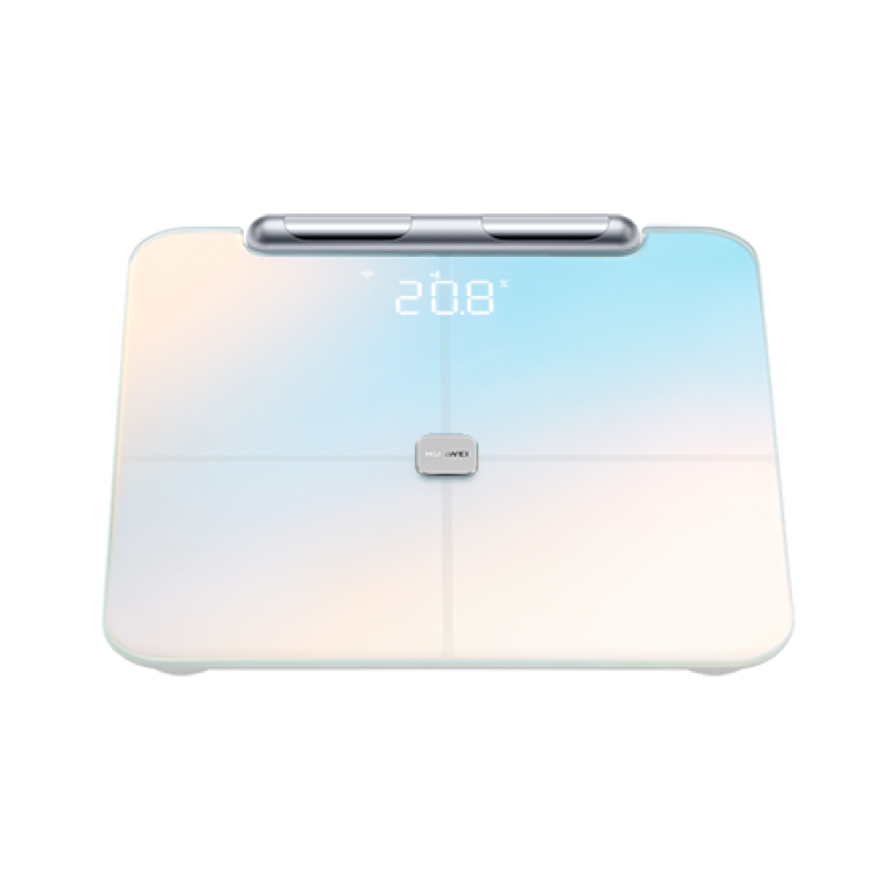 电子秤哪个牌子好?带您盘点五款国产电子秤