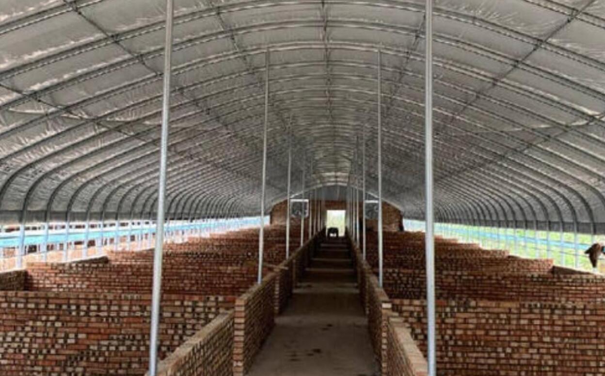 塑料大棚里养猪吗?设计只是一部分原因,关键看土地性质