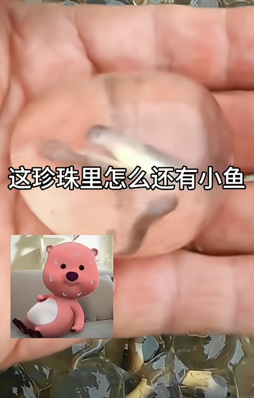 珠子穿小鱼的教程图片