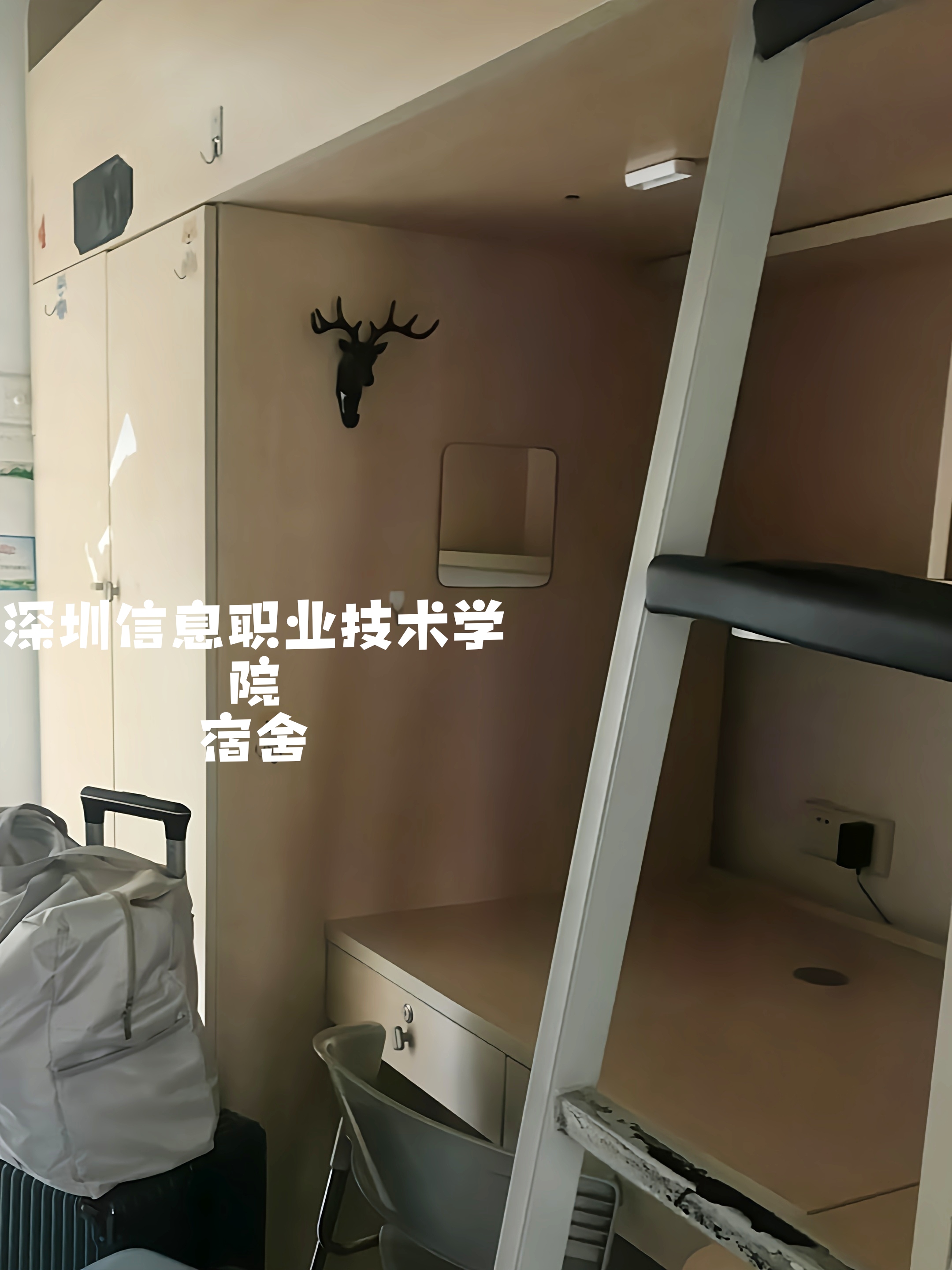 学姐tip排名仅供参考··*   广东4校排名全国