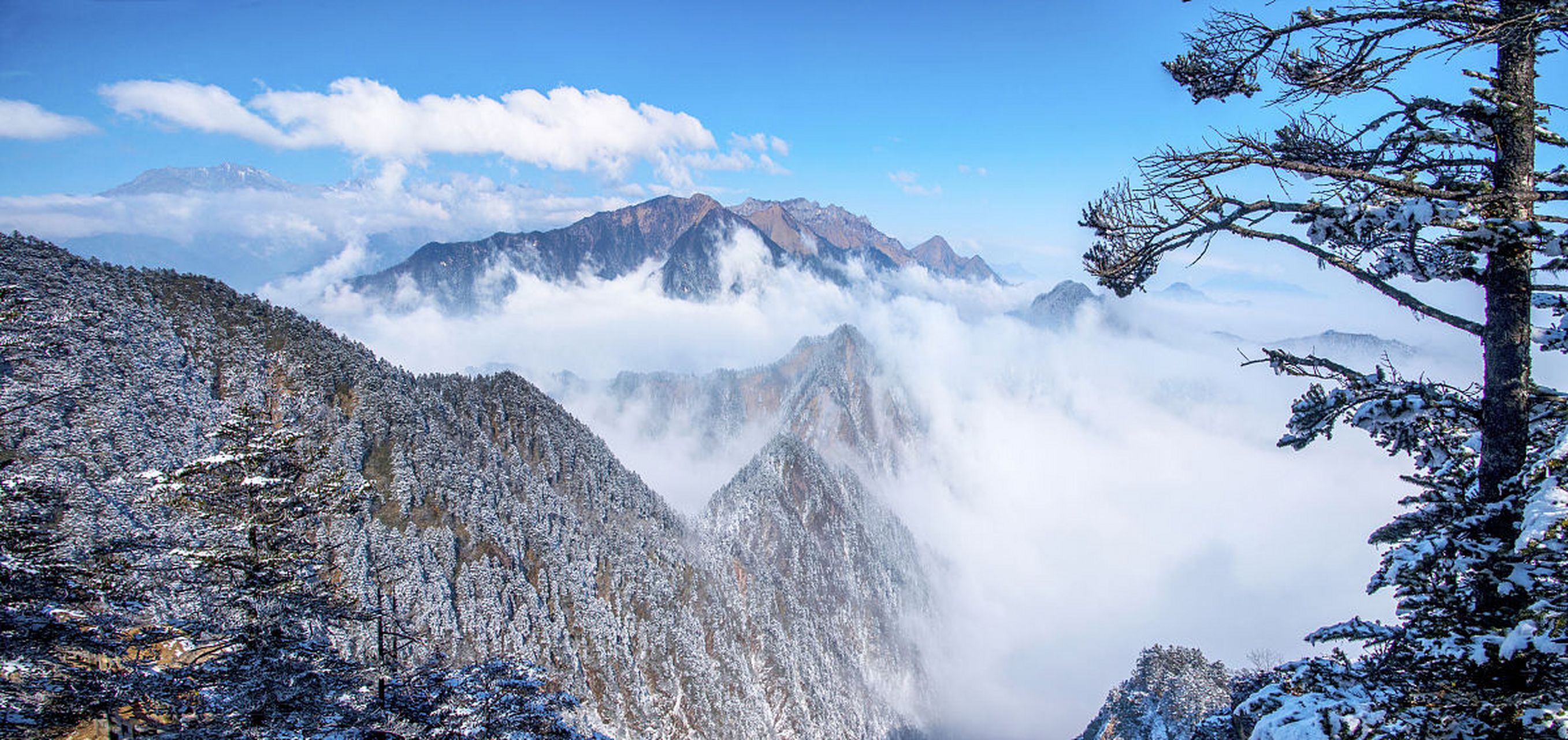 西岭雪山近景图片