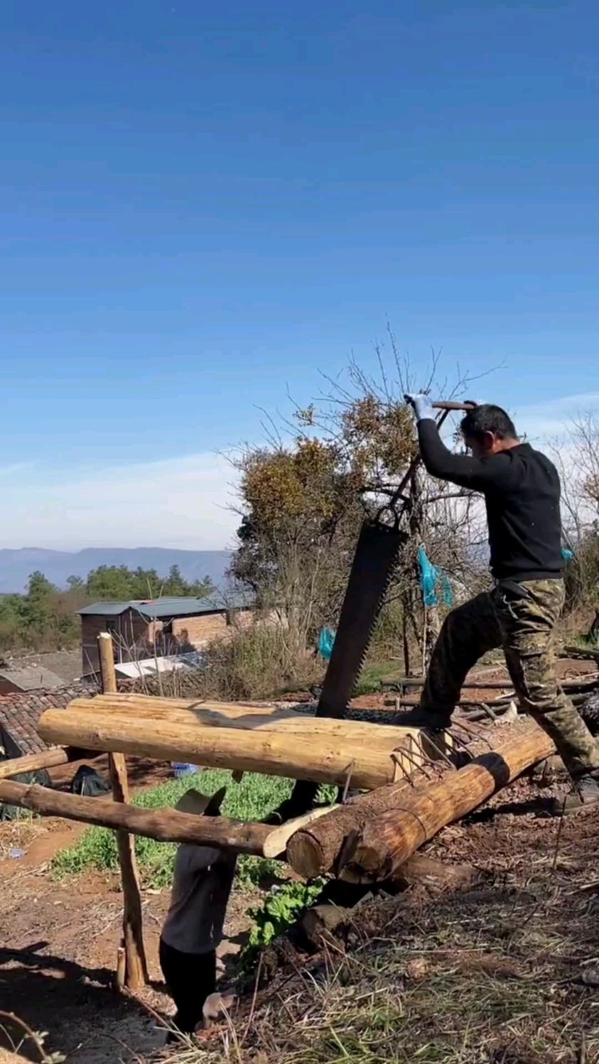 在偏远山村,农民手工拉大锯锯木头