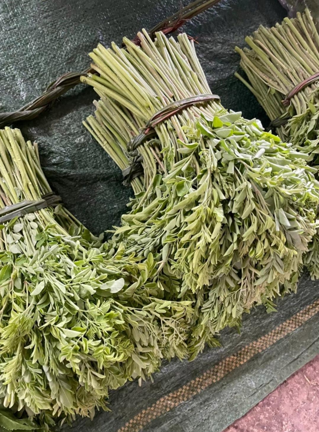 有一次碰见一位朋友买菜,买了好几把这种菜,他说这个菜还挺好吃的