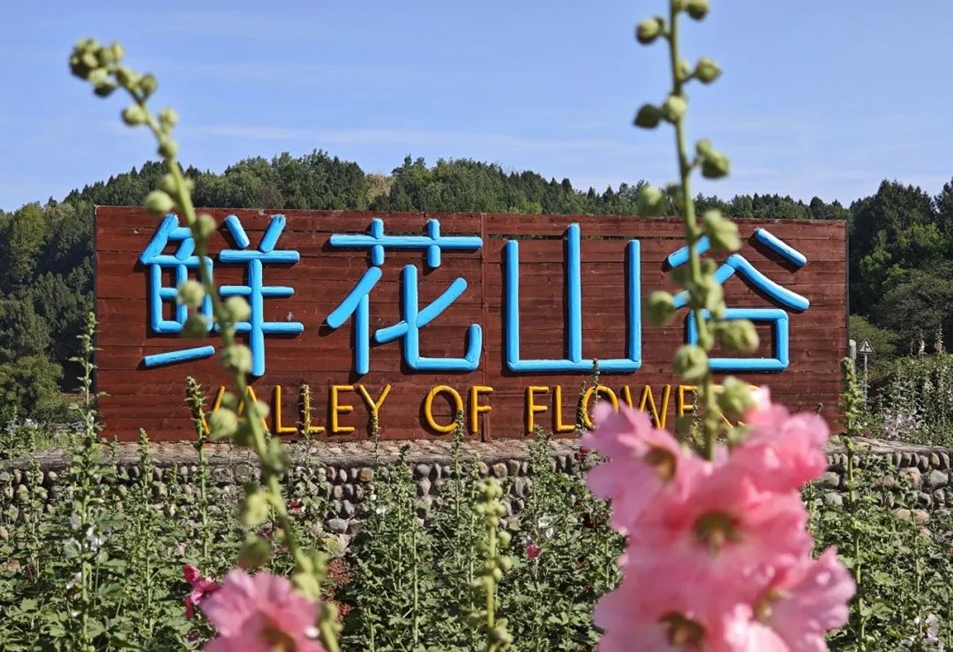 本地逛吃笔记#金堂鲜花山谷:这里是成都世园会的的联动点位,在这里