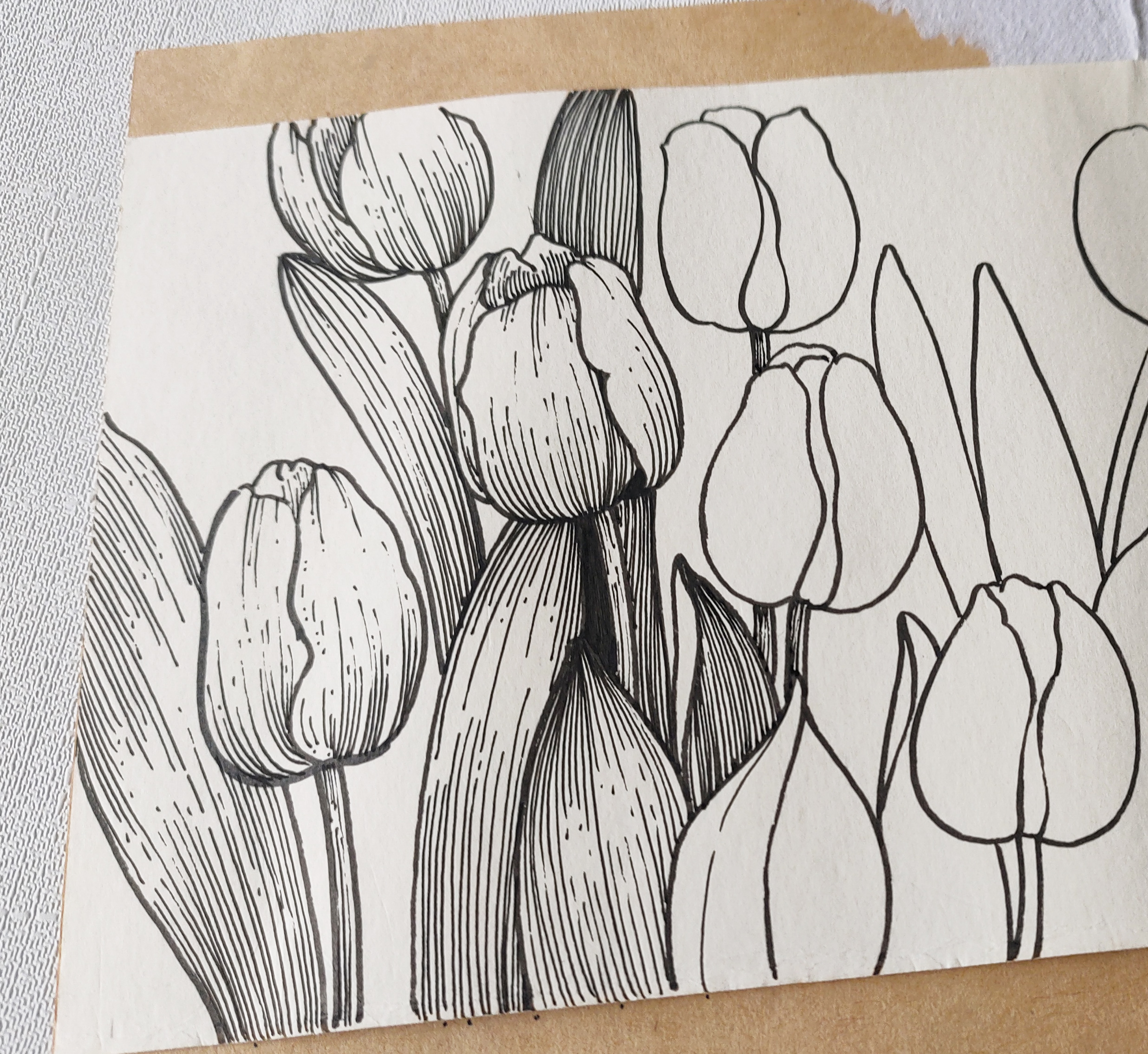 线描横幅花卉上,教你如何画郁金香和兰花,一起把时光装进画本里