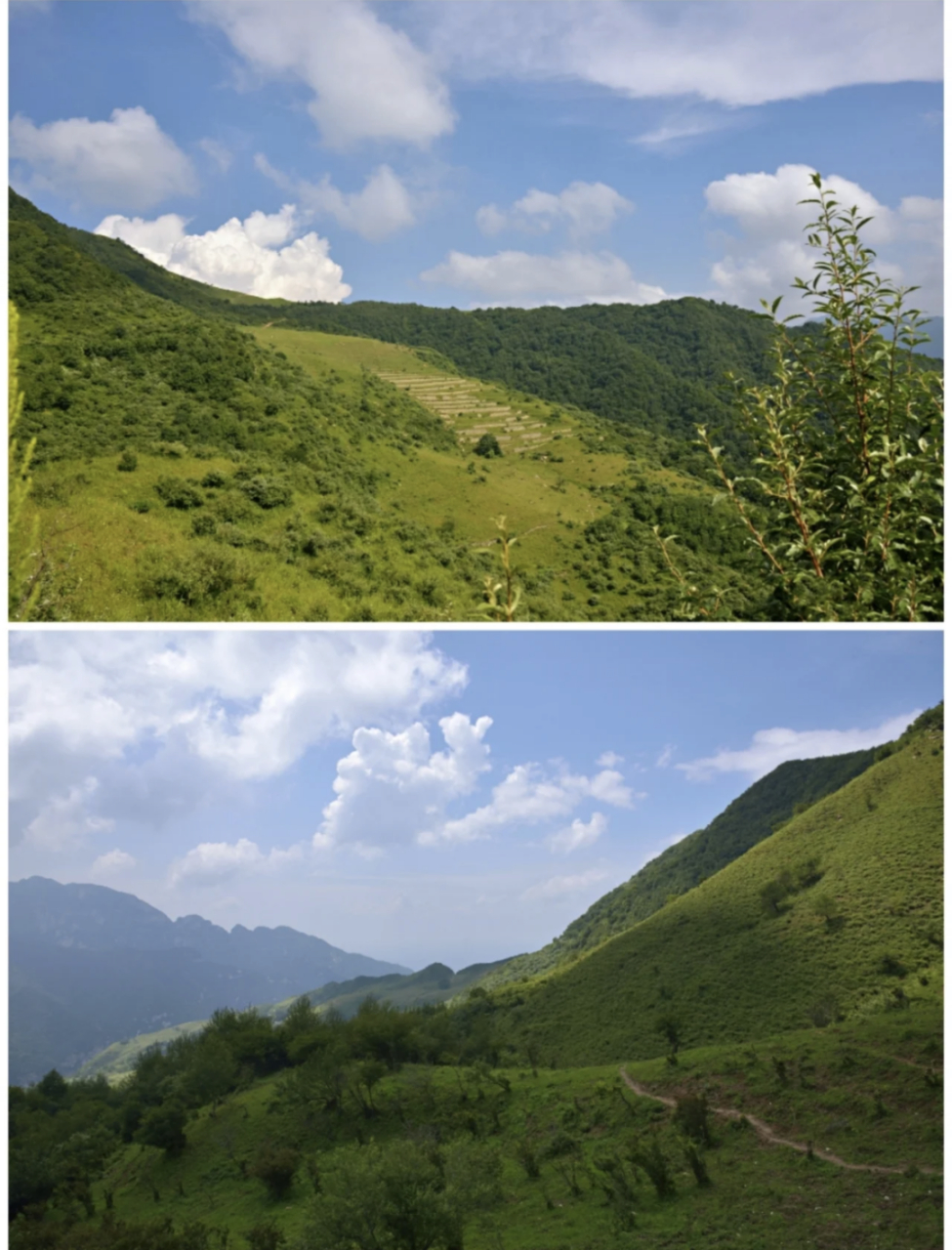 流峪高山草甸位于蓝田玉山镇是西安周边最容易到达的高山草甸,跨过