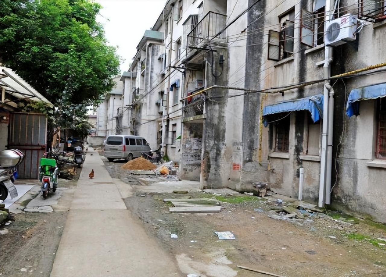 2000年,破产女老板收养孤儿,送他留学,15年后养子回报1530万