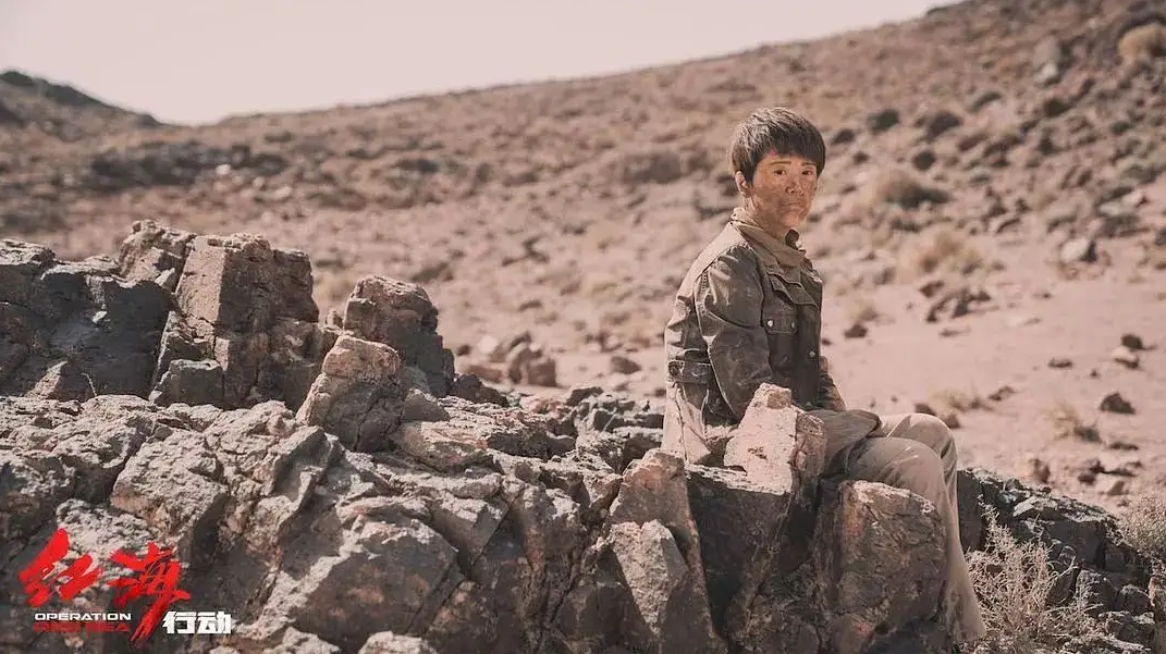 海清晚上睡觉的时候脸被虫子咬烂,没几天手还骨裂了.